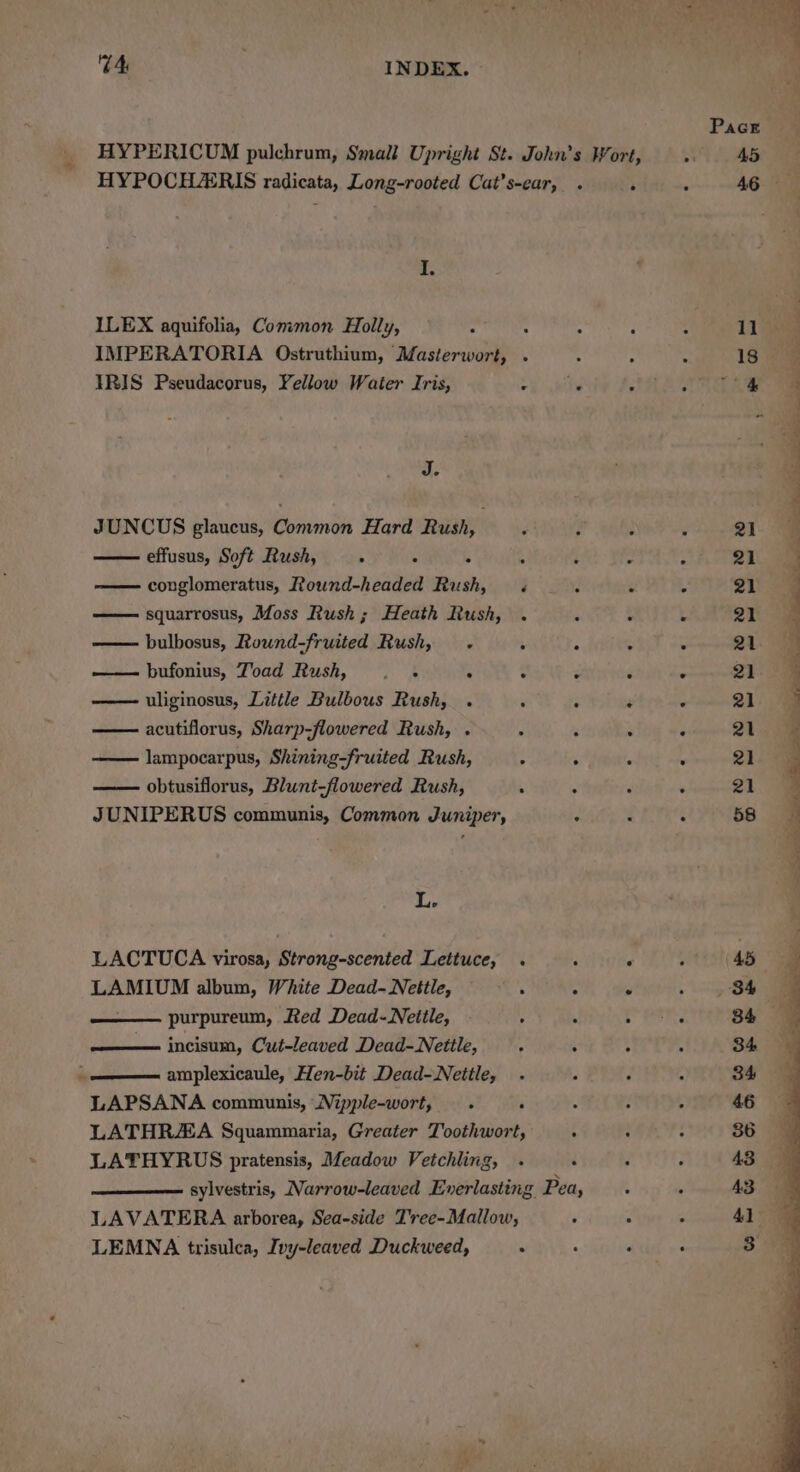 I. ILEX aquifolia, Common Holly, : IMPERATORIA Ostruthium, Masterwort, . IRIS Pseudacorus, Yellow Water Iris, , J. JUNCUS glaucus, Common Hard Rush, —— effusus, Soft Rush, 5 . 4 ; conglomeratus, Rouwnd-headed Rush, « squarrosus, Moss Rush; Heath Rush, . bulbosus, Ruwnd-fruited Rush, . —— bufonius, Joad Rush, . . ; : uliginosus, Little Bulbous Rush, . acutiflorus, Sharp-flowered Rush, . lampocarpus, Shining-fruited Rush, ; obtusiflorus, Blunt-flowered Rush, ; JUNIPERUS communis, Common Juniper, L. LACTUCA virosa, Strong-scented Lettuce, . LAMIUM album, White Dead- Nettle, its purpureum, Red Dead-Nettle, : — incisum, Cut-leaved Dead-Nettle, 3 amplexicaule, Hen-bit Dead-Neitle, LAPSANA communis, Nipple-wort, . ‘ LATHRAA Squammaria, Greater Toothwort, LATHYRUS pratensis, Meadow Vetchling, .« LAVATERA arborea, Sea-side Tree-Mallow, LEMNA trisulea, Ivy-leaved Duckweed, A ° 11 18 21 21 21 21 21 21 21 21 21 21 58 aS ee Se eee ee