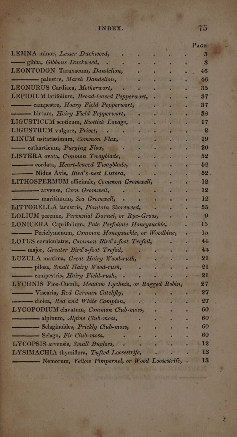 LEMNA minor, Lesser Duckweed, ‘ —— gibba, Gibbous Duckweed, . - é LEONTODON Taraxacum, Danilelion, palustre, Marsh Dandelion, . LEPIDIUM latifolium, Broad-leaved Pepperwort, campestre, Hoary Field Pepperwort, hirtum, Hairy Field Pepperwort, ; LIGUSTICUM scoticum, Scottish Lovage, LIGUSTRUM vulgare, Privet, . ‘ ‘ LINUM usitatissimum, Common Flar, : LISTERA ovata, Common Twayblade, 2 cordata, Heart-leaved.Twayblade, . Nidus Avis, Bird’s-nest Listera, J LITHOSPERMUM officinale, Common Gromwell, arvense, Corn Gromwell, F § maritimum, Sea Gromwell, . 7 LITTORELLA lacustris, Plantain Shoreweed, LOTUS corniculatus, Common Bird’ s-foot Trefoil, major, Greater Bird’s-foot Trefoil, . LUZULA maxima, Great Hairy Wood-rush, pilosa, Small Hairy Wood-rush, ° campestris, Hairy Field-rush, . . Viscaria, Red German Catchfly, ° dioica, Red and White Campion, . LYCOPODIUM clavatum, Common Club-moss, alpinum, d/pine Club-moss, ‘ Selaginoides, Prickly Club-moss, —— Selago, Fir Club-moss, LYSIMACHIA thyrsiflora, Tufted Loosestrife, tM