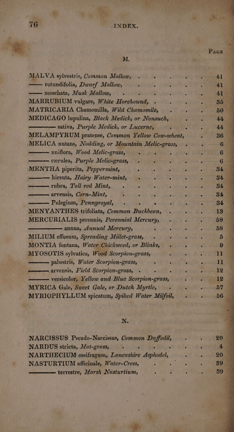 M. MALVA sylvestris, Common Mallow, . . ; F rotundifolia, Dwarf Mallow, ’ ; : ~ moschata, Musk Mallow, - : Dr deere 4 MARRUBIUM vulgare, White Horehound, . : . MATRICARIA Chamomilla, Wild Chamomile, , MEDICAGO lupulina, Black Medick, or Nonsuch, £ sativa, Purple Medick, or Lucerne, . ° MELAMPYRUM pratense, Common Yellow Rinshdahoeis MELICA nutans, Nodding, or Mountain Melic-grass, . uniflora, Wood Melic-grass, ok Re . < cerulea, Purple Melic-grass, . . . * MENTHA piperita, Peppermint, . ‘ . ‘ ——— hirsuta, Hairy Water-mint, ° , 4 4 rubra, Tall red Mint,. . . . : ; arvensis, Corn-Mint, J y ‘ ‘ P Pulegium, Pennyroyal, . _ ‘ ‘ : MENYANTHES trifoliata, Common Buckbean, . ‘ MERCURIALIS perennis, Perennial Mercury, .- ’ annua, Annual Mercury, . ‘ ‘ MILIUM effusum, Spreading Millet-grass, « ¥ ‘ MONTIA fontana, Water Chickweed, or Blinks, . ° MYOSOTIS sylvatica, Wood Scorpion-grass; , . palustris, Water Scorpion-grass, ° amet ie arvensis, Field Scorpion-grass, . . : ‘ versicolor, Yellow and Blue Scorpion-grass, . MYRICA Gale, Sweet Gale, or Dutch Myrtle, A - MYRIOPHYLLUM spicatum, Spiked Water Milfoil, . N. NARCISSUS Pseudo-Narcissus, Common side. daiaaia ; NARDUS stricta, Mat-grass, 5 ; . ; NARTHECIUM ossifragum, Lancashire apneic ’ NASTURTIUM officinale, Water-Cress, ; a hie terrestre, Marsh Nasturtium, ; : p