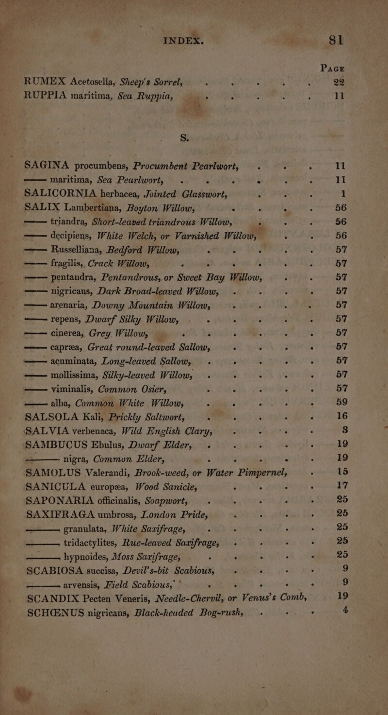 x % INDEX. RUMEX Acetosella, Sheep's Sorrel, : 2 RUPPIA maritima, Sea Ruppia, . ‘ S. SAGINA procumbens, Procumbent Pearlwort, —— maritima, Sea Pearlwort, . 3 . SALICORNIA herbacea, Jointed Glasswort, SALIX Lambertiana, Boyton Willow, 5 —— triandra, Short-leaved triandrous Willow, -—— Russelliana, Bedford Willow, é ‘ —— fragilis, Crack Willow, p i ‘ nigricans, Dark Broad-leaved Willow, . _ ———arenaria, Downy Mountain Willow, . _ =—— repens, Dwarf Silky Willow, . , cinerea, Grey Willow, : . —— caprea, Great round-leaved Sallow, é - acuminata, Long-leaved Sallow, . » —— mollissima, Silky-leaved Willow, . . —— viminalis, Common Osier, : X — alba, Common White Willow, * é SALSOLA Kali, Prickly Saltwort, . , SALVIA verbenaca, Wild English Clary, ; SAMBUCUS Ebulus, Dwarf Elder, . nigra, Common Elder, . i * SANICULA europea, Wood Sanicle, SAPONARIA officinalis, Soapwort, ‘ SAXIFRAGA umbrosa, London Pride, . : granulata, White Saxifrage, : : tridactylites, Rue-leaved Savifrage, . hypnoides, Moss Sazijfrage, . . SCABIOSA succisa, Devil’s-bit Scabious, P arvensis, Field Scabious,’ ° ° r SCHGENUS nigricans, Black-headed Bog-rush, we