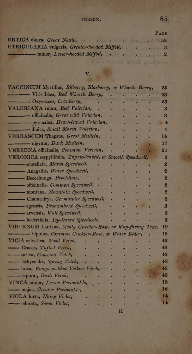a INDEX. 85, Pace URTICA dioica, Great Nettle, .« . +. TS ~? 1665 UTRICULARIA vulgaris, Greater nce pene i PPS san, © — minor,:Lesser-hooded Milfoil, .« . 0 eT ceteg) wrath v. ie . oe VACCINIUM Myrtillus, Bilberry, Blaeberry, or Whortle Berry, 28 — Oxycoccos, Cranberry, 2 Xy oe ge ee er ee -VALERIANA rubra, Red Valerian, ». . 6 et 3 officinalis, Great wild Valerian, . y : F 8 Ea miskat pyrenaica, Heart-leaved Valerian, : ‘ : 4 dioica, Small Marsh Valerian, ° ° ° : 4, VERBASCUM Thapsus, Great Mullein, : : C 2 14 nigrum, Dark Mullein, sy 5 : a 14 VERBENA officinalis, Common Vervain, . : = 37 VERONICA serpyllifolia, Zhyme-leaved, or Smooth Speedwe 2 scutellata, Marsh Speedwell, 4 . . 5 : 2 Anagallis, Water Speedwell, : “ 3 ; 2 Beccabunga, Brooklime, : ‘ : : e 2 officinalis, Common Speedwell, . ‘ . : ‘ 2 montana, Mountain Speedwell, - : i - 2 Chamedrys, Germander Speedwell, . . 4 ° 2 agrestis, Procumbent Speedwell, : : : a. 3 arvensis, Wall Speedwell, . : . . . 3 hederifolia, Ivy-leaved Speedwell, ° ° ; . 8 VIBURNUM Lantana, Mealy Guelder-Rose, or Way-faring Tree, 19 VICIA sylvatica, Wood Vetch, . ; ; ; : : 43 —— Cracea, Tufted Vetch, : ; 4 . 4 F 43 lathyroides, Spring Vetch, . . : ee lutea, Rough-podded Yellow Vetch, ‘ rer —— sepium, Bush Vetch, 4 He : : VINCA minor, Lesser Periwinkle, _ . —— major, Greater Periwinkle, : . ° VIOLA hirta, Hairy Violet, . =———— odorata, Sweet Violet, : : : : ;