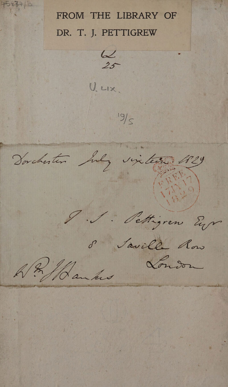 “<s FROM = THE LIBRARY OF DR. T. J. PETTIGREW meneame Se ce Re een oe oe Se ae eee reas Pam MMS ro tl matte OL Sate tgs a te Ng