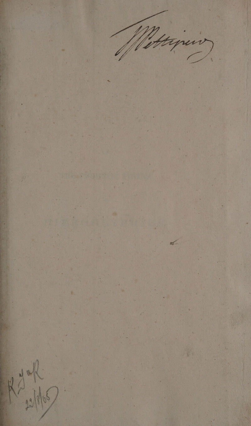 wf 4 * ‘ ' 2 — © 7 , > a 2 s ” ’ , - - . ’ 1 zi _ — r % ¢ 3 F. “% ‘ J -. ha eos = — —_ ‘ - = Se ——— ge we tee : y e z x : S . * 7 > ‘ r ts, i . 4 . 7 eA # 1 ‘ 7 = : ’ . - $ ‘ ) . ‘ d ys = 7 re are ‘ . s = ¢ 2 . :. ‘ 4 , ° ; ~ ‘ < ~ - F * 7 ~- te 2 . ” . “i < % - ' i . ~ » om | r # : ‘ 2 a . J * - - ‘ ‘ ’ x 4 « . ¢ - -