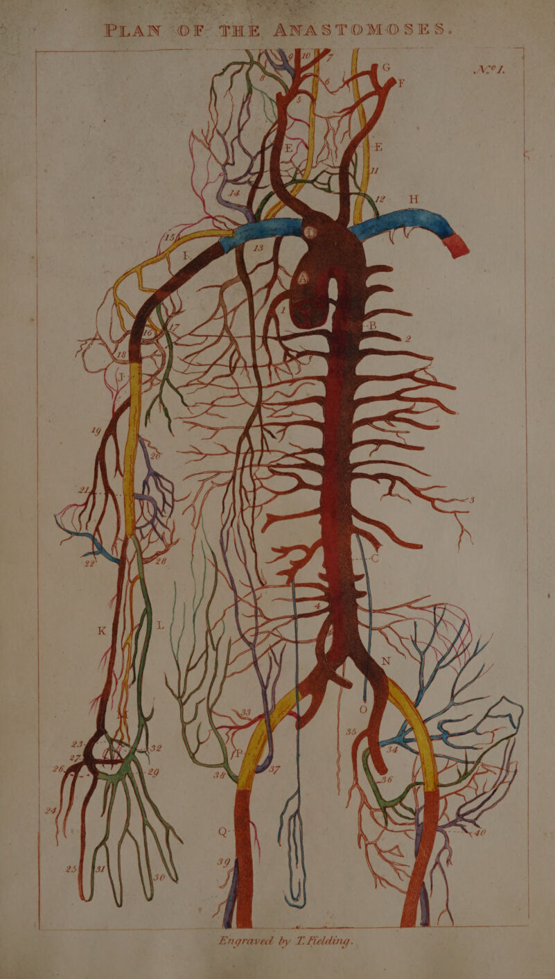 aN en <I 7 f ANCANRS v. — STs ey S2 S\ | a PLAN OF aC «aphasia