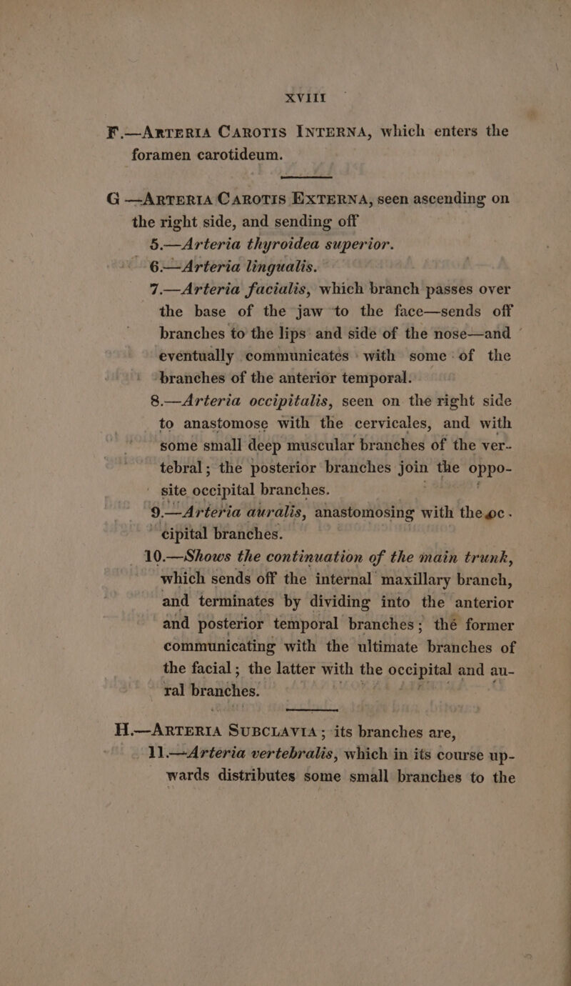 F.—Arreria Caroris INTERNA, which enters the foramen carotideum. G —ArtTeRIA Carotis EXTERNA, seen ascending on the right side, and sending off 5.—Arteria thyroidea superior. 6.—Arteria lingualis. 7.—Arteria facialis, which branch passes over the base of the jaw to the face—sends off branches to the lips and side of the nose—and / eventually communicates with some of the ‘branches of the anterior temporal. 8.—Arteria occipitalis, seen on the right side to anastomose with the cervicales, and with some small deep muscular br anches of the ver- tebral ; the posterior branches sg the Roger ' site pecipital branches. 9.— Arteria auralis, anastomosing with theoc - cipital branches. 10.—Shows the continuation of the main trunk, which sends off the internal’ maxillary branch, and terminates by dividing into the anterior and posterior temporal branches; thé former communicating with the ultimate branches of the facial; the latter with the 2 AD and au- ~ ral branches. H pa SuBciayta- its branches are, 11.— Arteria sich telepalie: which in its course up- wards distributes some small branches to the