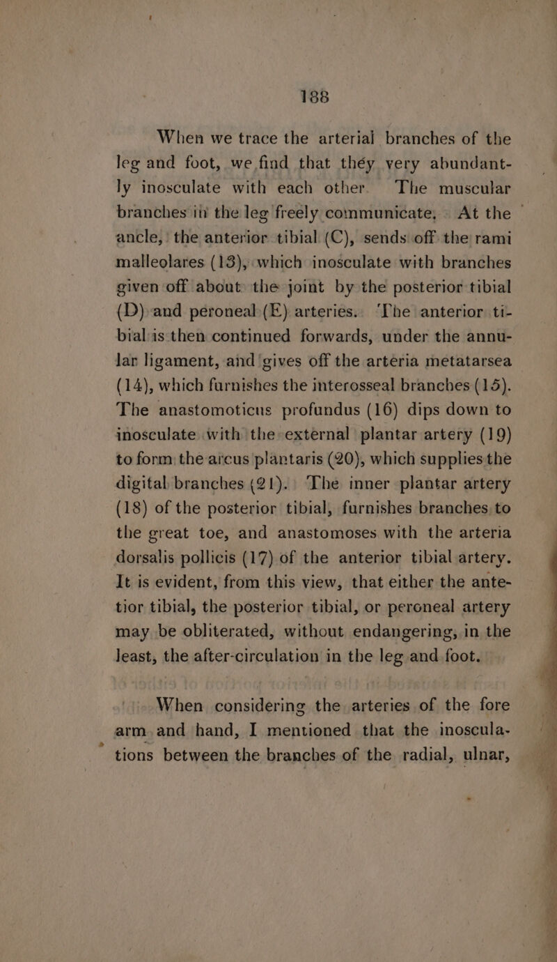 When we trace the arterial branches of the leg and foot, we find that théy very abundant- ly inosculate with each other. The muscular ancle,' the anterior tibial (C), sends off the rami malleolares (13), which inosculate with branches given off about the joint by the posterior tibial (D) and peroneal.(E) arteries.. ‘Phe anterior. ti- bialas then continued forwards, under the annu- lar ligament, and gives off the arteria metatarsea (14), which furnishes the interosseal branches (15). The anastomoticns profundus (16) dips down to inosculate with the external plantar artery (19) to form: the arcus plantaris (20), which supplies the digital branches (21). The inner plantar artery (18) of the posterior tibial, furnishes branches, to the great toe, and anastomoses with the arteria dorsalis pollicis (17) of the anterior tibial artery. It is evident, from this view, that either the ante- tior tibial, the posterior tibial, or peroneal artery may be obliterated, without endangering, in the Jeast, the after-circulation in the leg and foot. When considering the arteries of the fore arm. and hand, I mentioned that the inoscula- tions between the branches of the radial, ulnar,