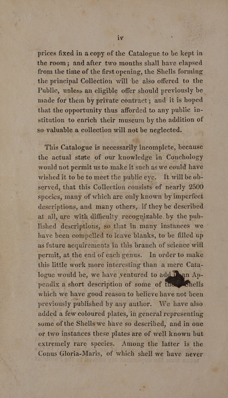 prices fixed in a copy of the Catalogue to be kept in the room; and after two months shall have elapsed from the time of the first opening, the Shells forming . the principal Collection will be also offered to the Public, unless an eligible offer should previously be _ made for them by private contract; and it is hoped that the opportunity thus afforded to any public in- stitution to enrich their museum by the addition of so valuable a collection will not be neglected. 1 This Catalogue is necessarily incomplete, because the actual state of our knowledge in Conchology would not permit us to make it such as we could have wished it to be to meet the public eye. It will be ob- served, that this Collection consists of nearly 2500 species, many of which are only known by imperfect descriptions, and many others, if they be described at all, are with difficulty recognizable, by the pub- lished descriptions, so that in many instances we have been compelled to Icave blanks, to be filled up as future acquirements in this branch of science will permit, at the end of each genus. In order to make this little work more interesting than a mere Cata- logue would be, we have ventured to iis pendix a short description of some of t ells which we have good reason to believe have not been previously published by any author. We have also added a few coloured plates, in general representing some of the Shellswe have so deser ibed, and in one or two instances these plates are of well known but extremely rare species. Among the latter is the Conus Gloria-Maris, of which shell we have never -