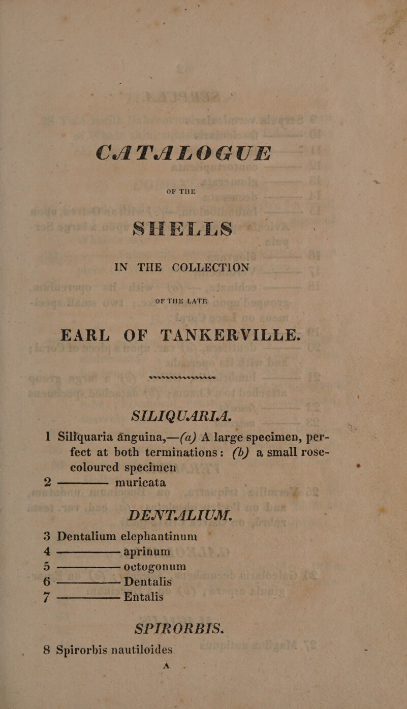 CATALOGUE OF THE | SILELELS IN THE COLLECTION EARL OF TANKERVILLE. SILIQU.ARI.A. 1 Siliquaria ánguina,—(a) A large specimen, per- fect at both terminations: (b) a small rose- coloured specimen 2 —— ——— muricata DENTALIUM. 3 Dentalium elephantinum 4 aprinum 5 ————— oectogonum 6 — —— —— —- Dentalis 7 Entalis SPIRORBIS. 8 Spirorbis nautiloides. A