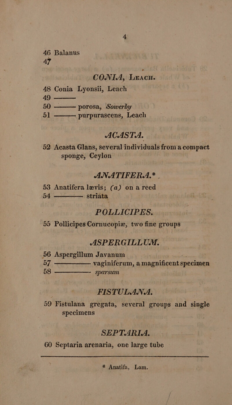 46 Balanus 47 CONTA, LxAcn. 48 Conia Lyonsii, Leach 49 50 porosa, Sowerby 5] purpurascens, Leach ACASTA. 52 Acasta Glans, several individuals from a compact sponge, Ceylon ANATIFERA.* | 53 Anatifera levis; (a) ona reed ad ———— striata POLLICIPES. 55 Pollicipes Cornucopiz, two fine groups ASPERGILLUM. 56 Aspergillum Javanum | 57 vaginiferum, plies itio specimen 58 —— —— ——— sparsum FISTULANA. 59 Fistulana gregata, several groups and single specimens SEPT.ARIA. 60 Septaria arenaria, one large tube * Anatifa, Lam.