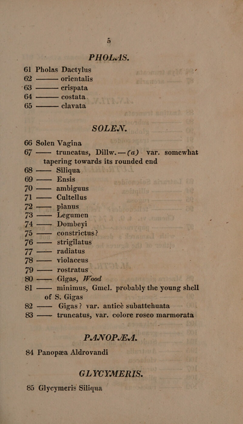 PHOLAS. 61 Pholas Dactylus ‘ 62 orientalis 63 crispata 64 costata. 65 clavata SOLEN. 66 Solen Vagina 67 truncatus, Dillw.— (a). var. somewhat tapering towards its rounded hs Siliqua 69 BEC NT Ensis. 70 —— ambiguus 71 —— Cultellus 72 —— planus /3 —— Legumen 74 —— Dombeyi 73 —— constrictus? 76 —— strigilatus 77 —— radiatus 78 —— violaceus 79 —— rostratus , 80 —— Gigas, Wood 81 —— minimus, Gmel. probably the young shell of S. Gigas 82 —— Gigas? var. anticé qm 83 ——- truncatus, var. colore roseo marmorata P.ANOPJEA. 84 Panopea Aldrovandi GLYCYMERIS. 85 Glycymeris Siliqua