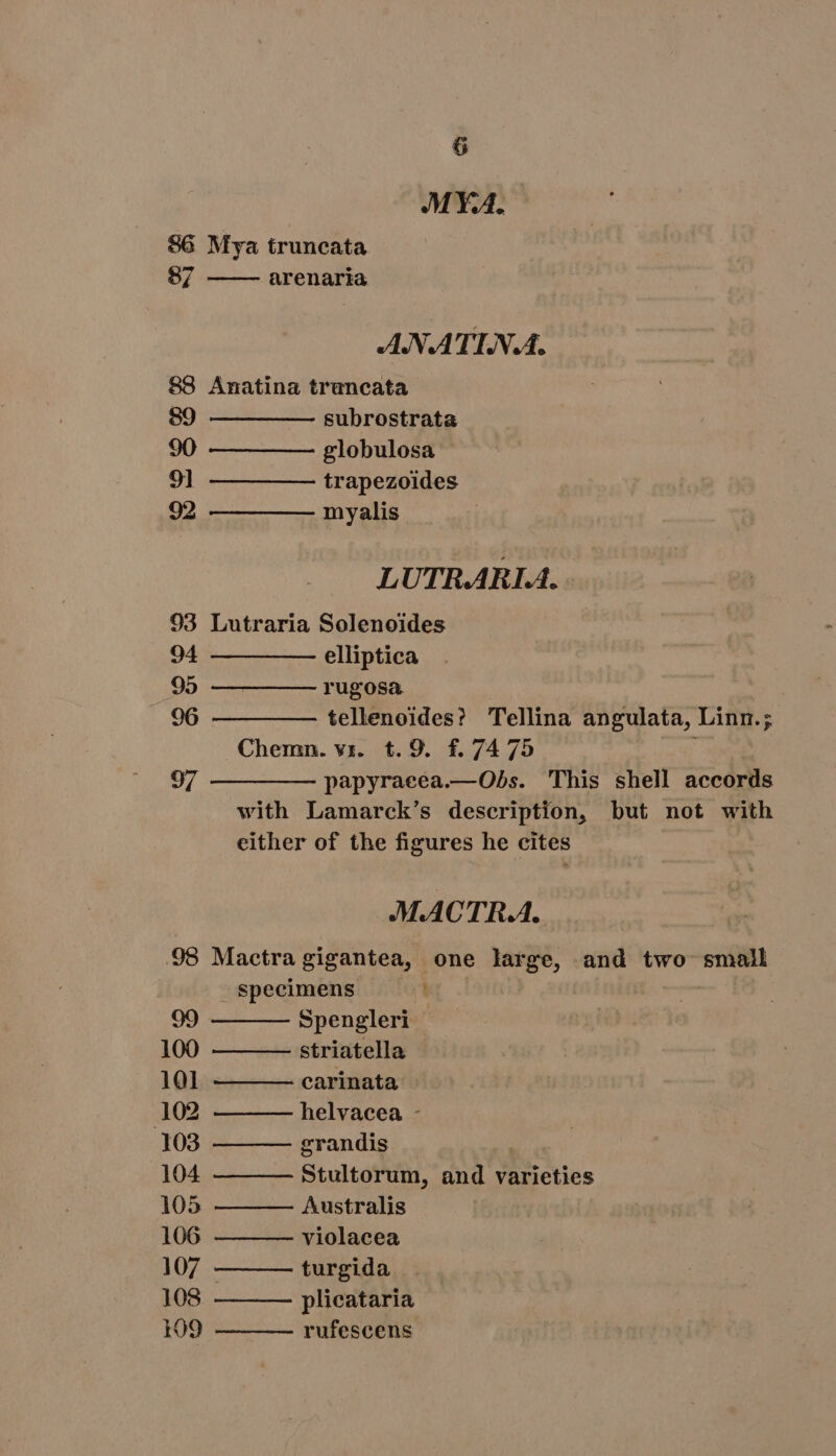 MYA. 87 ANATINA. 89 90 9] 92 subrostrata globulosa trapezoides myalis LUTRARLA. 94 95 96 97 99 100 101 302 103 104 105 106 107 108 109 elliptica rugosa MACTRA. Spengleri striatella carinata grandis | Australis violacea turgida plicataria rufescens