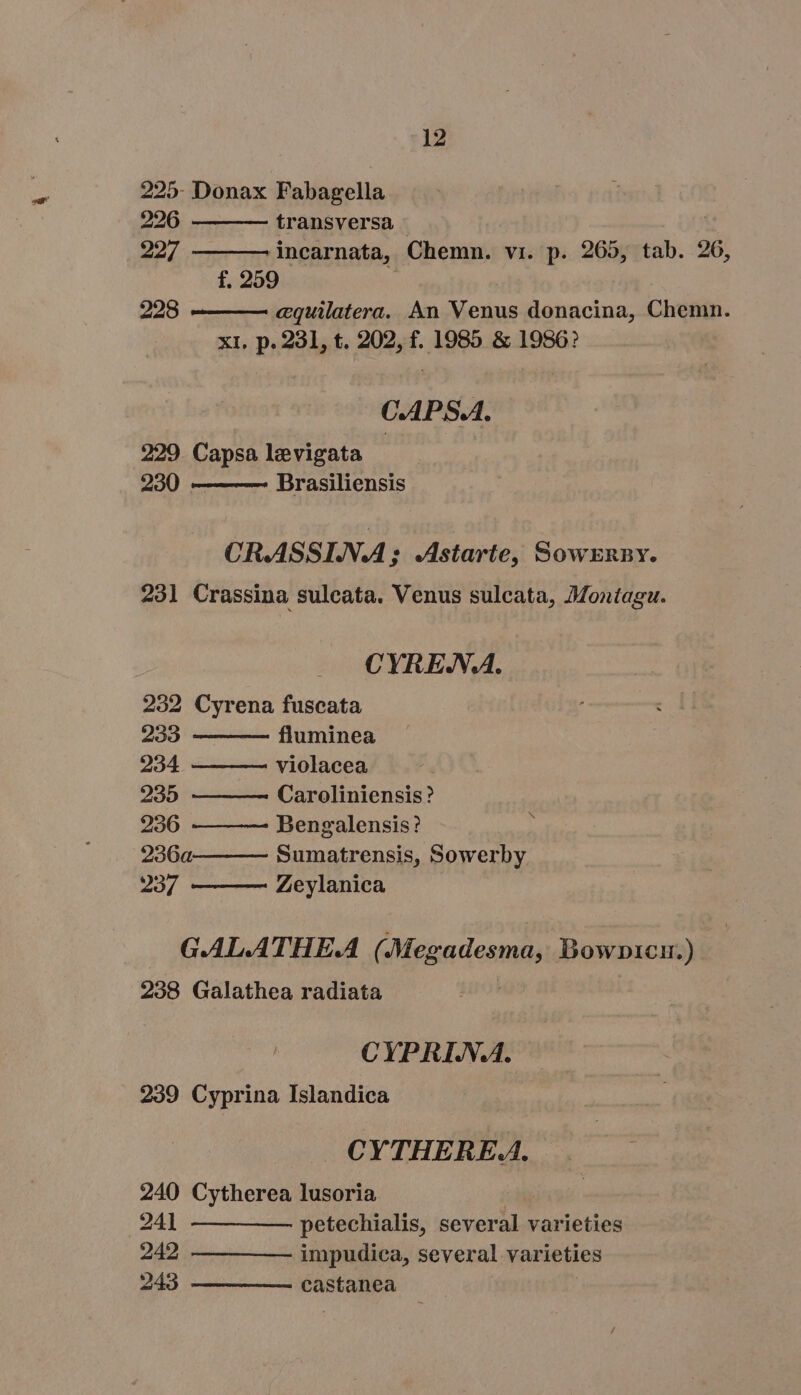 “12 225- Donax Fabagella 226 transversa — 227 -incarnata, Chemn. vi. p. 265, tab. 26, f. 259 228 cquilatera. An aaa donacina, Chemn. x1. p. 231, t. 202, f. 1985 &amp; 1986? C.APS.A. 229 Capsa levigata 230 | Brasiliensis CRASSINA; Astarte, Sowknnx. 231 Crassina suleata. Venus sulcata, Montagu. CYRENA. 292 Cyrena fuscata 233 fluminea 234 violacea 235 Caroliniensis? 236 Bengalensis? : 236a Sumatrensis, Sowerby 237 Zeylanica GALATHEA (Megadesma, Bownicu.) 238 Galathea radiata CYPRIJAN.A. 239 Cyprina Islandica CYTHERE.. 240 Cytherea lusoria 241 —— — — petechialis, sever s varieties 242 — — —— impudica, several var ieties 243 — — —— castanea