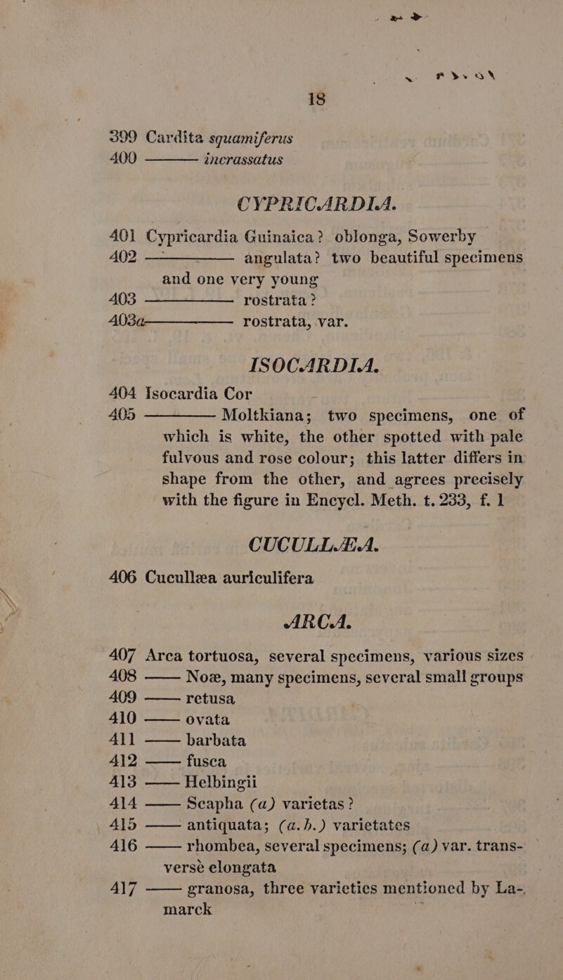 v Fe AN 18 399 Cardita squamiferus 400 incrassatus CYPRICARDIA. 401 Cypricardia Guinaica? oblonga, Sowerby 402 ————— — angulata? two beautiful specimens and one very young 403 ———————- rostrata? 403a———__——— rostrata, var. ISOCARDIA. 404 Isocardia Cor 405 —————— Moltkiana; two specimens, one of which is white, the other spotted with pale fulvous and rose colour; this latter differs in shape from the other, and agrees precisely with the figure in Encycl. Meth. t. 233, f. 1 CUCULLJE.A. 406 Cucullza auriculifera ARCA. 407 Arca tortuosa, several specimens, various sizes 408 Noz, many specimens, several small groups 409 retusa 410 ovata All barbata 412 fusca 413 —— Helbingii 414 Seapha (a) varietas ? 415 antiquata; (a.5.) varietates 416 rhombea, several specimens; (a) var. trans- - verse elongata 417 granosa, three varieties mentioned by La-. marck