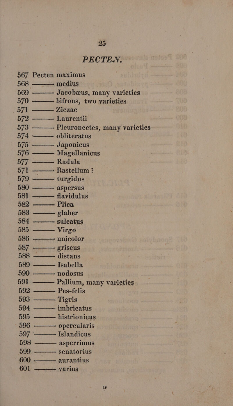 PECTEN. 567 Pecten maximus 568 ——— medius 569 Jacobeus, many varieties 570 — bifrons, two varieties 571 Ziczac 572 Laurentii 573 Pleuronectes, many varieties 574 obliteratus 575 Japonicus 576 Magellanicus 577^ Radula 571 — Rastellum ? 579 turgidus 580 aspersus 58] — flavidulus 582 Plica 583 glaber 584 sulcatus 585 Virgo 586 unicolor 587 griseus 588 - distans 589 Isabella 590 nodosus 591 — Pallium, many varieties 592 Pes-felis 593 Tigris 594 imbricatus 595 histrionicus 596 opercularis 597 Islandicus 598 asperrimus 599 ———— senatorius 600 — aurantius 601 varius