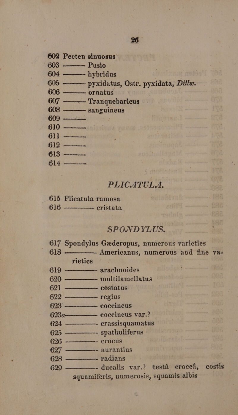 603 Pusio 604 hybridus 605 pyxidatus, Ostr. pyxidata, Dillw. 606 . ornatus 607 — Tranquebaricus 608 sanguineus 610 611 612 ! 613 614 PLIC.ATUL.A. 615 Plicatula ramosa 616 — — ——— cristata SPO.NDYLUS. 617 Spondylus Gederopus, numerous varieties 618 —— ———- Americanus, numerous and fine va- rieties 619 —— ———- arachnoides 620 —— — —- multilameilatus 62] —— ——— —- costatus 622 —— — ——- regius 693 ——— ——- coccineus 693a—— ————- coccineus var.? . 624 —————_- crassisquamatus 625 —_———- spathuliferus 626 —————- crocus 627 ——— ——- aurantius 628 —— — ——- radians 629 ——-———- ducalis var.? testá «eroceà, costis squamiferis, numerosis, squamis albis