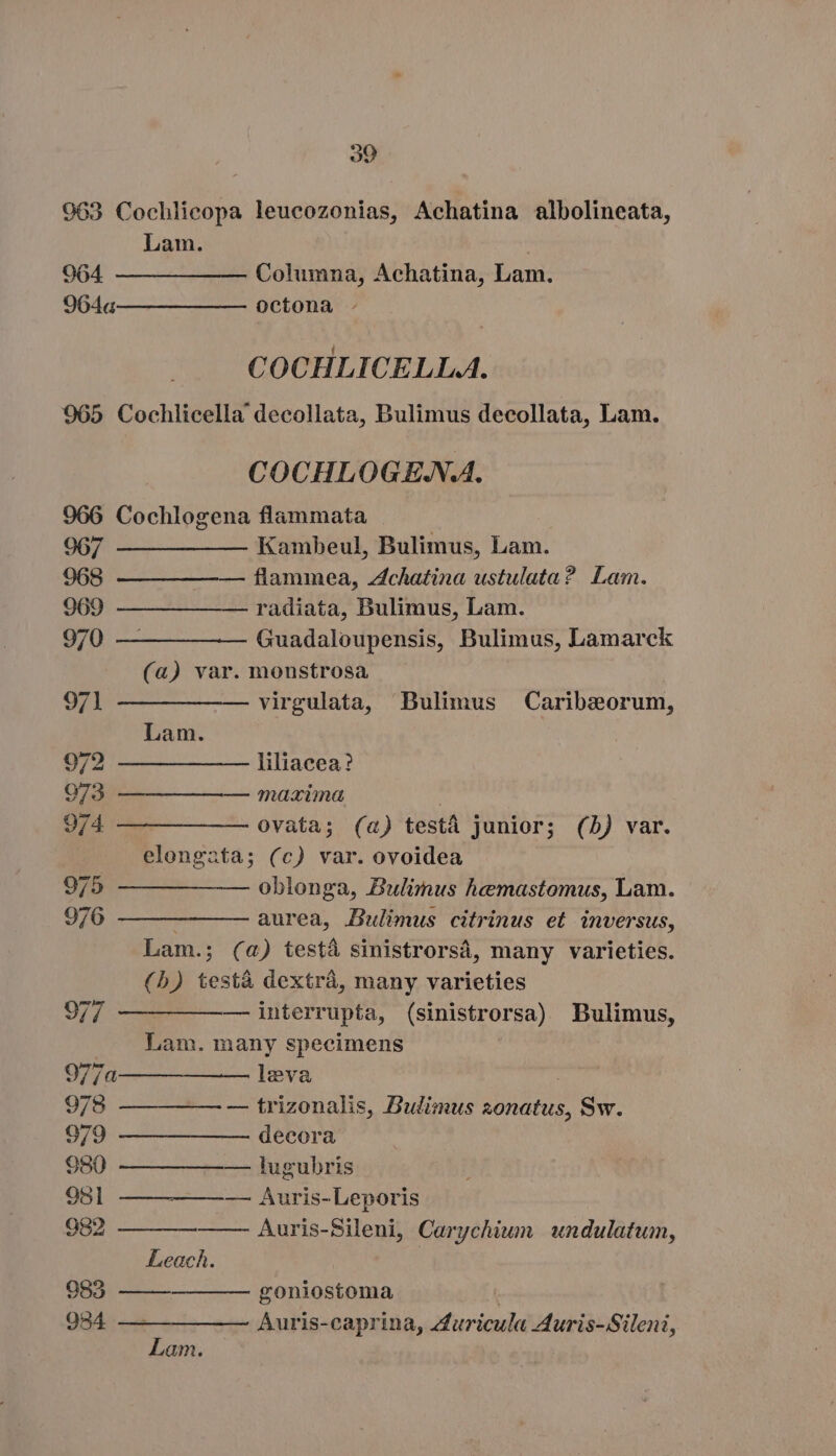 30 963 Cochlicopa leucozonias, Achatina albolineata, Lam. 964 ——————— Columna, Achatina, Lam. 9646— — ——— octona COCHLICELLA. 965 Cochlicella decollata, Bulimus decollata, Lam. COCHLOGE.N.A. 966 Cochlogena flammata 967 —— ———— Kambeul, Bulimus, Lam. 968 — —— ——— flammea, Achatina ustulata? Lam. 969 —— — ——- radiata, Bulimus, Lam. 970 —— —— —— — Guadaloupensis, Bulimus, Lamarck (a) var. monstrosa 971 ——————- virgulata, Bulimus Caribeorum, Lam. 972 — — — —— liliacea? 973 — —————— maxima 974 — —— ———- ovata; (a) testá junior; (5) var. elongata; (c) var. ovoidea 975 — —— ——— oblonga, Bulimus hemastomus, Lam. 976 ——————— aurea, Bulimus citrinus et inversus, Lam.; (a) testa sinistrorsá, many varieties. (b) testa dextra, many varieties 977 ——— ——- interrupta, Eus) Bulimus, Lam. many specimens 977a— ————— leva 978 —— —— — — trizonalis, Budimus sonatus, Sw. 979 — —— — —— decora 980 — — ——— lugubris 95] —————— Auris-Leporis 982 Auris-Sileni, Carychiun undulatum, Leach. 983 goniostoma 984 —— — — — Auris-caprina, Auricula Auris-Sileni, Lam.