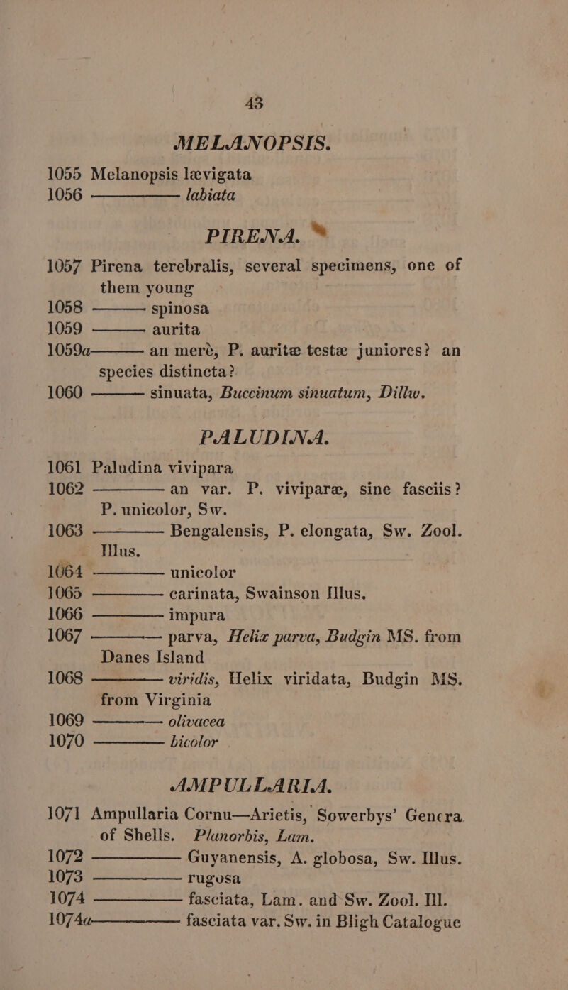 MELANOPSIS. 1055 Melanopsis levigata 1056 ————— — labiata PIRENA. ™ 1057 Pirena terebralis, several specimens, one of them young 1058 spinosa 1059 aurita 1059a an meré, P. aurite teste juniores? an species distincta? 1060 sinuata, Buccinum sinuatum, Dillw. PALUDINA. 1061 Paludina vivipara 1062 ————— an var. P. vivipare, sine fasciis? P. unicolor, Sw. 1063 ————— Bengalensis, P. elongata, Sw. Zool. .* lius. 1064 —— ——— unicolor 10650. —— —— —— carinata, Swainson Illus. 1066 —— — —— impura 1067 ————— parva, Helix parva, Budgin MS. from Danes Island 1068 —— ——— viridis, Helix viridata, Budgin MS. from Virginia 1069 — —— — olivacea 1070 — — — bicolor | AMPULLARIA. 1071 Ampullaria Cornu—Arietis, Sowerbys’ Genera of Shells. Plunorbis, Lam. 1072 ——— — — Guyanensis, A. globosa, Sw. Illus. 1073. ——————-_ rugusa 1074 ——_—_—_——_ fasciata, Lam. and Sw. Zool. Il. 1074« ——— fasciata var. Sw. in Bligh Catalogue