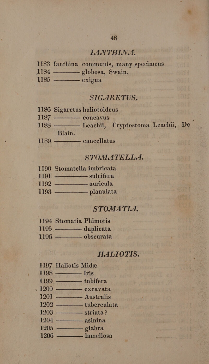 TANTHIN A. 1183 Ianthina communis, many specimens 1184 ————— globosa, Swain. 1185 —— — —— exigua SIG.ARETUS. 1186 Sigaretus haliotoideus 1187 ————— concavus 1188 ———— Leachii, Cryptostoma Leachii, De Blain. 1189 ————— cancellatus STO.M.ATELL.A. 1190 Stomatella imbricata HIONH 4——91—:1— enleitera 1192 — — —— — auricula 1193. ———— —— planulata STO.MATI.A. 1194 Stomatia Phimotis 1195 — — —— duplicata 1196 ——— — — obscurata H.ALIOTIS. 1197 Haliotis Midze 1198 ————— Iris 1199 ———— — tubifera . 1200 ———— — excavata 1201 ———— — Australis 1202 — —— —— tuberculata 1203 — striata ? 1204 — ——— — asinina 1205 —— —— —— glabra 1206 — — —— lamellosa