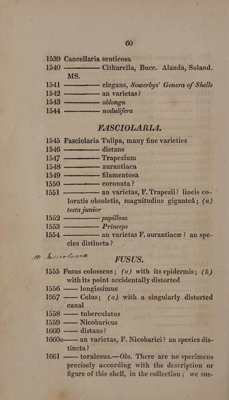 1539 Cancellaria senticosa ! 1540 ———— ——— Citharella, Bucc. Alauda, Soland. MS. 154] — — ———-— elegans, Sowerbys’ Genera of Shells 1542 —— ———— — an varietas? 1549 —— ——— —— oblonga 1544 —— ——— nodulifera FASCIOLARI.A. 1545 Fasciolaria Tulipa, many fine varieties 1546 — ————— distans 1547 —————— Trapezium 1548 ——————— aurantiaca 1549 — ———— filamentosa 1550 ————— — coronata ? | 1551 —— an varietas, F.'Trapezii? lineis co- - loratis obsoletis, magnitudine giganteá; (a) testa juntor 1552. ——— ——— papillosa 1553 — —— —— Princeps 1554 ——————— an varietas F. aurantiace ? an spe- cies distincta ? Aere m ttl idis us FUSUS. 1555 Fusus colosseus; (a) with its epidermis; (5) withits point accidentally distorted 1556 longissimus 1957 —— Colus; (a) with a singularly distorted canal 1558 —— tuberculatus 1559 Nicobaricus 1660 —— distans? 1660a an varietas, F'. Nicobarici? an species dis- tincta? torulosus.—Obs. There are no specimens preeisely according with the description or figure of this shell, in the collection; we sus- 1661