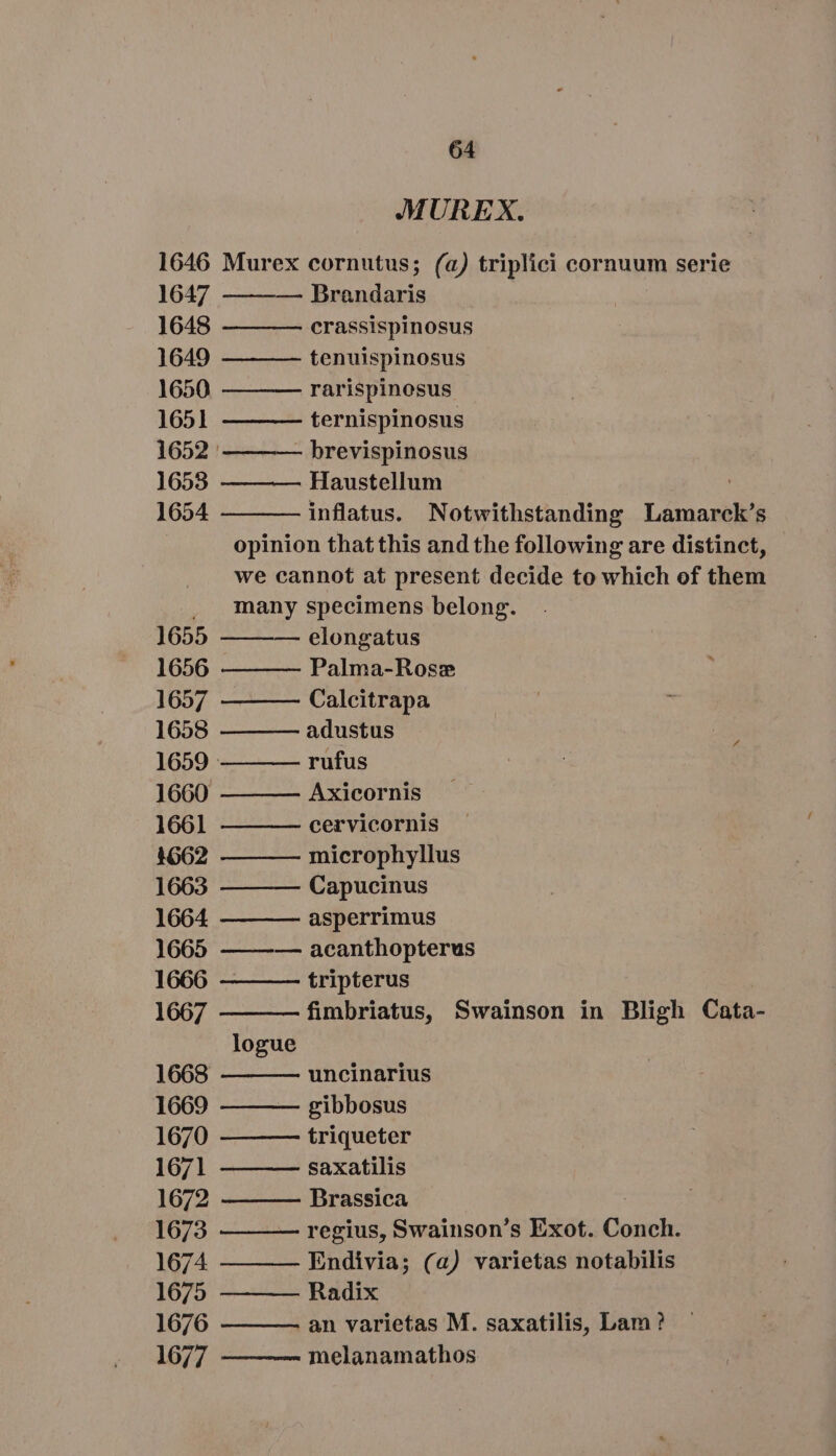 MUREX. 1646 Murex cornutus; (a) triplici cornuum serie 1647 — Brandaris _ 1648 crassispinosus 1649 tenuispinosus 1650 rarispinosus 1651 ternispinosus 1652: - brevispinosus 1653 Haustellum ' 1654 inflatus. Notwithstanding Lamarck's opinion thatthis and the following are distinct, we cannot at present decide to which of them . many specimens belong. 1655 ———— elongatus 1656 Palma-Rose 1657 Calcitrapa 1658 adustus ; 1659. rufus 1660 Axicornis 1661 cervicornis 1662 microphyllus 1663 Capucinus 1664 asperrimus 1665 ——-— acanthopterus 1666 tripterus 1667 fimbriatus, Swainson in Bligh Cata- logue 1668 uncinarius 1669 gibbosus 1670 triqueter 1671 saxatilis 1672 Brassica 1673 regius, Swainson's Exot. Conch. 1674 Endivia; (a) varietas notabilis 1675 Radix 1676 an varietas M. saxatilis, Lam ? 1677 melanamathos