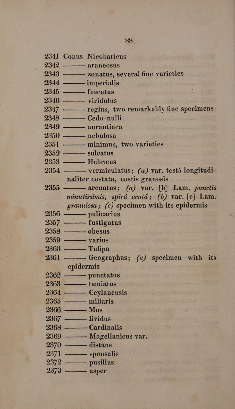 85 2341 Conus Nicobaricus 2342 araneosus 2343 zonatus, several fine varieties 2344 imperialis 2345 fuscatus 2346 viridulus 2347 regius, two remarkably fine specimens 2348 Cedo-nulli 2349 aurantiaca | 2350 nebulosa 2351 minimus, two varieties 2352 sulcatus 2353 Hebreus 2354 vermiculatus; (a) var. testà longitudi- naliter costata, costis granosis arenatus; (a) var. [b] Lam.. punctis minutissimis, spirá acutá; (b) var. [c]: Lam. granulosa ; (c) specimen with its epidermis 2955 2356 — pulicarius 2357 —— — fustigatus 2358 obesus 2359 varius 2360 Tulipa 2361 Geographus; (a) specimen with its epidermis 2962 punetatus 2363 teeniatus 2364 Ceylanensis 2365 miliaris 2366 — Mus 2367 lividus 2368 Cardinalis 2369 Magellanicus var. 2370 distans 2371 sponsalis 2372 pusillus 2373 asper