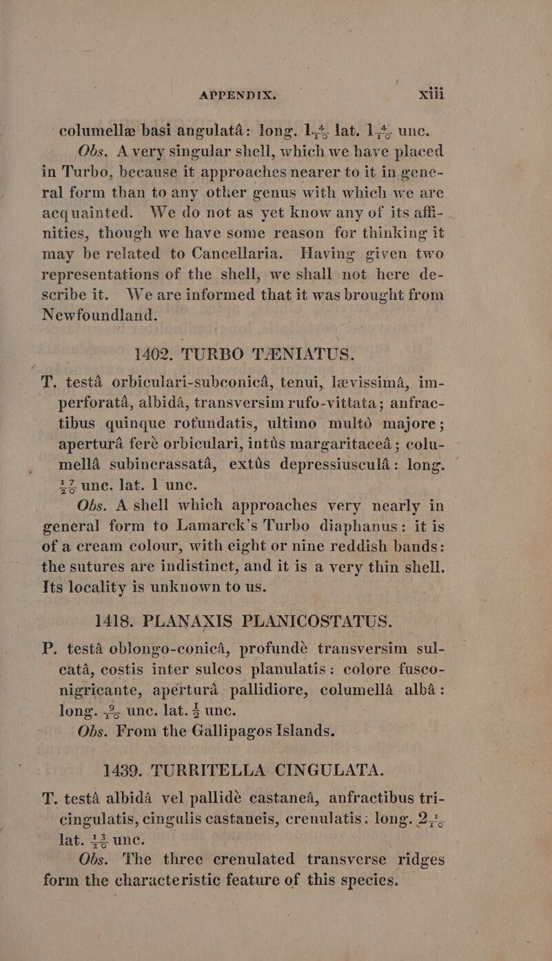 tee APPENDIX. xil columelle basi angulatá: long. 1,5. lat. 1,4, unc. Obs. A very singular shell, which we have placed in Turbo, because it approaches nearer to it in gene- ral form than to any other genus with which we are acquainted. We do not as yet know any of its affi- nities, though we have some reason for thinking it may be related to Cancellaria. Having given two representations of the shell, we shall not here de- scribe it. We are informed that it was brought from Newfoundland. 1402. TURBO TJENIATUS. T. testa orbiculari-subconicá, tenui, laevissima, im- perforata, albida, transversim rufo-vittata; anfrac- tibus quinque rotundatis, ultimo multó majore; apertura feré orbiculari, intüs margaritaceá ; colu- mellá subincrassatá, extüs depressiusculá: long. 17 unc. lat. lune. Obs. A. shell which approaches very nearly in general form to Lamarck’s Turbo diaphanus: it is of a cream colour, with eight or nine reddish bands: the sutures are indistinct, and it is a very thin shell. Its locality is unknown to us. 1418. PLANAXIS PLANICOSTATUS. P. testa oblongo-conicá, profundé transversim sul- cata, costis inter suleos planulatis: colore fusco- nigricante, apertura pallidiore, columellà alba: long. 2; une. lat. 1 une. Obs. From the Gallipagos Islands. 1439. TURRITELLA CINGULATA. T. testà albidà vel pallidé castaneá, anfractibus tri- cingulatis, cingulis castaneis, crenulatis: long. 27 lat. 42 unc. | Obs. The three crenulated transverse ridges form the characteristic feature of this species.