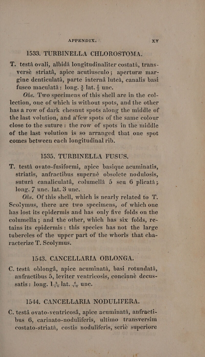 1533. TURBINELLA CHLOROSTOMA. T. testa ovali, albidá longitudinaliter costata, trans- versé striata, apice acutiusculo; aperture mar- gine denticulatà, parte interná lutea, canalis basi fusco maculata: long. 3 lat. $ unc. Obs. 'Two specimens of this shell are in the col- lection, one of which is without spots, and the other has à row of dark chesnut spots along the middle of the last volution, and a'few spots of the same colour close to the suture: the row of spots in the middle of the last volution is so arranged that one spot comes between each longitudinal rib. 1535. TURBINELLA FUSUS. T. testa ovato-fusiformi, apice basique acuminatis, striatis, anfractibus superné obsolete nodulosis, suturà canaliculaté, columellà 5 seu 6 plicatá ; long. 7 unc. lat. 9 unc. Obs. Of this shell, which is nearly related to TT. Scviymus, there are two specimens, of which one has lost its epidermis and has only five folds on the columella; and the other, which has six folds, re- tains its epidermis: this species has not the large tubercles of the upper part of the whorls that cha- racterize T. Scolymus. BT 1543. CANCELLARIA OBLONGA. — C. testa oblongá, apice acuminatá, basi rotundatà, ~ anfractibus 5, leviter ventricosis, concinné decus- 2 satis: long. 1-5; lat. .$, unc. 1544. CANCELLARIA NODULIFERA. C. testa ovato-ventricosá, apice acuminata, anfracti- bus 6, carinato-noduliferis, ultimo transversim costato-striatà, costis noduliferis, serié superiore