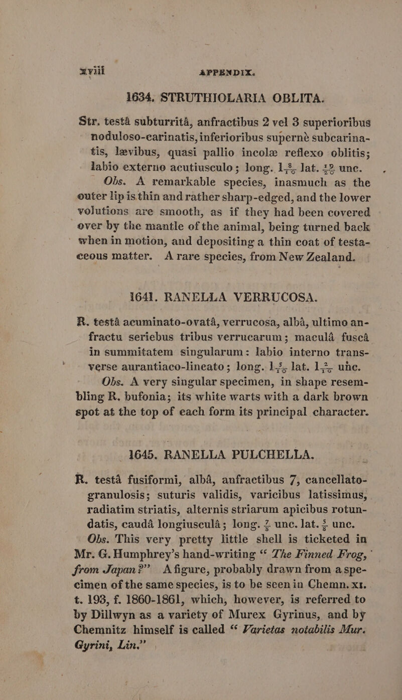 1634, STRUTHIOLARIA OBLITA. Str. testa subturritá, anfractibus 2 vel 3 superioribus noduloso-carinatis, inferioribus supern? subcarina- fis, levibus, quasi pallio incole reflexo oblitis; labio externo acutiusculo ; long. 1,8, lat. 22 unc. . Obs. A remarkable species, inasmuch as the outer lipisthin and rather sharp-edged, and the lower volutions are smooth, as if they had been covered over by the mantle of the animal, being turned back when in motion, and depositing a thin coat of testa- ceous matter. A rare species, from New Zealand. 1641. RANELLA VERRUCOSA. R. testa acuminato-ovatá, verrucosa, alba, ultimo an- fraetu seriebus tribus verrucarum ; maculá fuscá in summitatem singularum: labio interno trans- verse aurantiaco-lineato; long. lj. lat. 1. une. Obs. A very singular specimen, in shape resem- bling R. bufonia; its white warts with a dark brown spot at the top of each form its principal character. ..1645. RANELLA PULCHELLA. R. testá fusiformi, albà, anfraetibus 7, cancellato- granulosis; suturis validis, varicibus latissimus, radiatim striatis, alternis striarum apicibus rotun- datis, caudá longiusculà; long. 2 unc. lat. 3. unc. Obs. This very pretty little shell is ticketed in Mr. G. Humphrey’s hand-writing “ The Finned Frog, ' from Japan? | Afigure, probably drawn from a spe- cimen of the same species, is to be seenin Chemn. x1. t. 193, f. 1860-1861, which, however, is referred to by Dillwyn as a variety of Murex Gyrinus, and by Chemnitz himself is called “ Parietas notabilis Mur. Gyrini, Lin.