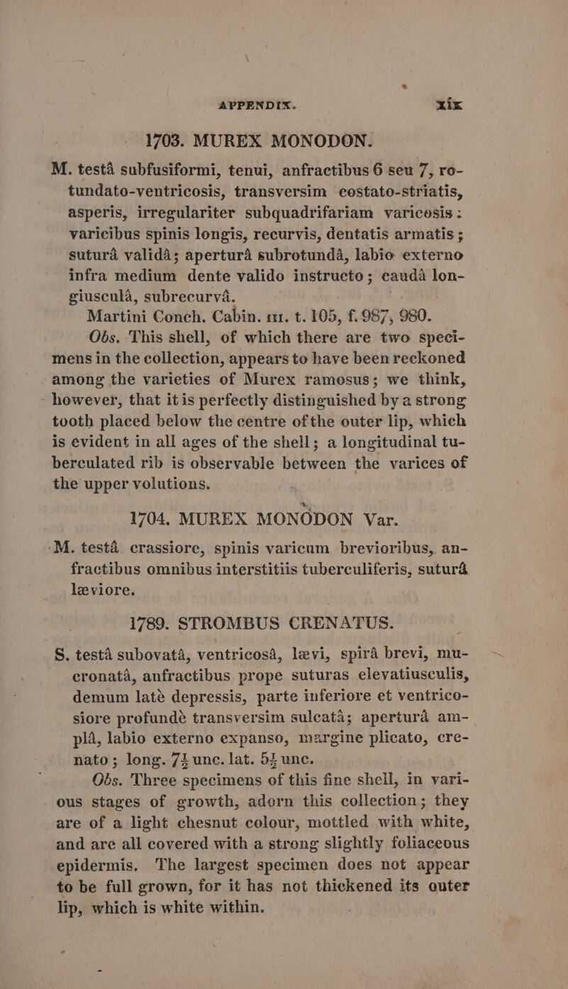 1703. MUREX MONODON. M. testà subfusiformi, tenui, anfractibus 6 seu M ,ro- tundato-ventricosis, transversim costato-striatis, asperis, irregulariter subquadrifariam varicosis : varicibus spinis longis, recurvis, dentatis armatis ; sutura valid4; apertura subrotunda, labio externo infra ancl dente valido instructo ; caudà lon- giuscula, subrecurvá. Martini Conch. Cabin. mr. t. 105, f. 987, 980. Obs. This shell, of which there are two speci- mens in the collection, appears to have been reckoned among the varieties of Murex ramosus; we think, - however, that itis perfectly distinguished by a strong tooth placed below the centre ofthe outer lip, which is evident in all ages of the shell; a longitudinal tu- berculated rib is observable between the varices of the upper volutions. 1704. MUREX MONODON Var. M. testá crassiore, spinis varicum brevioribus, an- fractibus omnibus interstitiis tuberculiferis, suturá leviore. 1789. STROMBUS CRENATUS. S. testa subovata, ventricosà, levi, spirà brevi, mu- cronatá, anfractibus prope suturas elevatiusculis, demum lat? depressis, parte inferiore et ventrico- siore profundé transversim suleatà; apertura am- pla, labio externo expanso, margine plicato, cre- nato; long. 7i une. lat. 53 une. | Obs. Three specimens of this fine shell, in vari- ous stages of growth, adorn this collection; they are of a light chesnut colour, mottled with white, and are all covered with a strong slightly foliaceous epidermis. The largest specimen does not appear to be full grown, for it has not thickened its outer lip, which is white within.