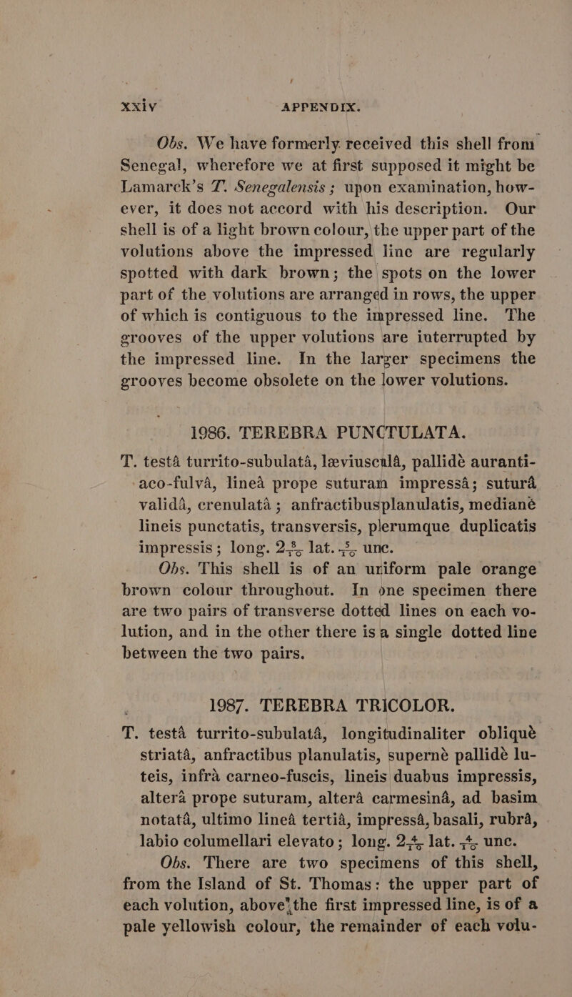 , XXIV APPENDIX. Obs. We have formerly. received this shell from Senegal, wherefore we at first supposed it might be Lamarck’s 7. Senegalensis ; upon examination, how- ever, it does not accord with his description. Our shell is of a light brown colour, the upper part of the volutions above the impressed line are regularly spotted with dark brown; the spots on the lower part of the volutions are arranged in rows, the upper of which is contiguous to the impressed line. The grooves of the upper volutions are interrupted by the impressed line. In the larger specimens the grooves become obsolete on the lower volutions. 1986. TEREBRA PUNCTULATA. T. testa turrito-subulata, leviuscula, pallidé auranti- -aco-fulva, linea prope suturam impressá; suturá valida, erenulatà ; anfractibusplanulatis, mediané lineis punctatis, transversis, plerumque duplicatis impressis; long. 25, lat. 3, unc. Obs. This shell is of an uriform pale orange brown colour throughout. In one specimen there are two pairs of transverse dotted lines on each vo- lution, and in the other there isa prin dotted line between the two pairs. 1987. TEREBRA TRICOLOR. T. testá turrito-subulatá, longitudinaliter obliqué striata, anfractibus planulatis, superné pallidé lu- teis, infrà carneo-fuscis, lineis duabus impressis, altera prope suturam, alterá carmesiná, ad basim notata, ultimo linea tertiá, impress4, eu rubra, labio columellari elevato; long. 2,4, lat. &lt;4, unc. Obs. There are two specimens of this shell, from the Island of St. Thomas: the upper part of each volution, above’the first impressed line, is of a pale yellowish colour, the remainder of each volu-