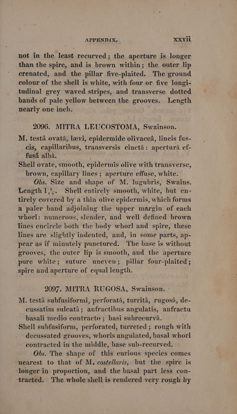 not in the least recurved ; the aperture is longer than the spire, and is brown within; the outer lip crenated, and the pillar five-plaited. The ground colour of the shell is white, with four or five longi- tudinal grey waved stripes, and transverse dotted bands of pale yellow between the grooves. Length nearly one inch. 2096. MITRA LEUCOSTOMA, Swainson. M. testa ovata, levi, epidermide olivacea, lineis fus- cis, capillaribus, transversis cinctá: aperturá ef- fusá alba. : Shell ovate, smooth, epidermis olive with transverse, brown, capillary lines ; aperture effuse, white. Obs. Size and shape of M. lugubris, Swains. Length l,. Shell entirely smooth, white, but en- tirely covered by a thin olive epidermis, which forms a paler band adjoining the upper margin of each whorl: numerous, slender, and well defined brown lines encircle both the body whorl and spire, these lines are slightly indented, and, in some parts, ap- pear as if minutely punctured. The base is without grooves, the outer lip is smooth, and the aperture pure white; suture uneven; pillar four-plaited ; spire and aperture of equal length. 2097. MITRA RUGOSA, Swainson. M. testa subfusiformi, perforata, turrità, rugosa, de- cussatim sulcatà; anfractibus angulatis, anfractu basali medio contracto ; basi subrecurva. Shell subfusiform, perforated, turreted ; rough with decussated grooves, whorls angulated, basal whorl contracted in the middle, base sub-recurved. Obs. The shape of this curious species comes nearest to that of M. costellaris, but the spire is longer in proportion, and the basal part less con- traeted. The whole shell is rendered very rough by