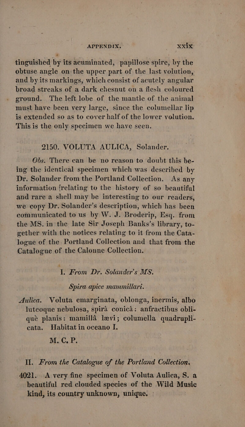 tinguished by its acuminated, papillose spire, by the obtuse angle on the upper part of the last volution, and by its markings, which consist of acutely angular broad streaks of a dark chesnut on a fiesh coloured ground. The left lobe of the mantle of the animal must have been very large, since the columellar lip is extended so as to cover half of the lower velution. This is the only specimen we have seen. 2150. VOLUTA AULICA, Solander. Obs. There can be no reason to doubt this be- ing the identical specimen which was described by Dr. Solander from the Portland Collection. As any information [relating to the history of so beautiful and rare a shell may be interesting to our readers, we copy Dr. Solander's description, which has been communicated to us by W. J. Broderip, Esq. from the MS. in the late Sir Joseph Banks’s library, to- gether with the notices relating to it from the Cata- logue of the. Portland Collection and that from the Catalogue of the Calonne Collection. 1. From Dr. Solander's MS. Spira apice mammillari. Aulica. Voluta emarginata, oblonga, inermis, albo luteoque nebulosa, spira conica: anfractibus obli- qué planis: mamillaé levi; columella quadrupli- cata. Habitat in oceano I. M. C. P. Il. From the Catalogue of the Portland Collection, 4021. A very fine specimen of Voluta Aulica, S. a beautiful red clouded species of the Wild Music kind, its country unknown, unique. :