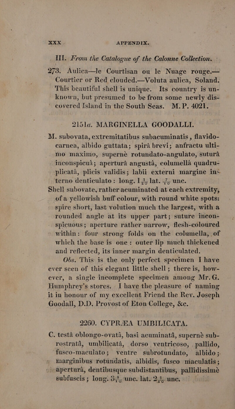 III. From the Catalogue of the Calonne Collection. - 273. Aulica—le Courtisan ou le Nuage rouge.— Courtier or Red clouded.—Voluta aulica, Soland. This beautiful shell is unique. Its country is un- known, but presumed to be from some newly dis- covered Island in the South Seas. M.P. 4021. 215la. MARGINELLA GOODALLI. : M. subovata, extremitatibus subacuminatis , flavido- carnea, albido guttata; spira brevi; anfractu ulti- mo maximo, superné rotundato-angulato, sutura inconspicua; aperturá angusta, columella quadru- plicata, plicis validis; labii externi margine in- terno denticulato: long. 13, lat. ~ unc. Shell subovate, rather diatmindida at TN extremity, . ofa yellowish buff colour, with round white spots: . spire short, last volution much the largest, with a rounded angle at its upper part; suture incon- spicuous; aperture rather narrow, flesh-coloured within: four strong folds on the columella, of which the base is one: outer lip much thickened and reflected, its inner margin denticulated. Obs. This is the only perfect specimen I have ever seen of this elegant little shell; there is, how- ever, a single incomplete specimen among Mr.G. Humphrey's stores. Ihave the pleasure of naming it in honour of my excellent Friend the Rev. Joseph Goodall, D.D. Provost of Eton College, &amp;c. 2260. CYPR/EA UMBILICATA. C. testa oblongo-ovatà, basi aeuminatá, superné sub- rostrata, umbilicatà, dorso. ventricoso, . pallido, fusco-maculato; ventre subrotundato, albido; marginibus rotundatis, albidis, fusco niaculatis ; aperturà, Veil ERES nghi pallidissimé subfuscis ; long. 58, unc. lat. 23. unc.