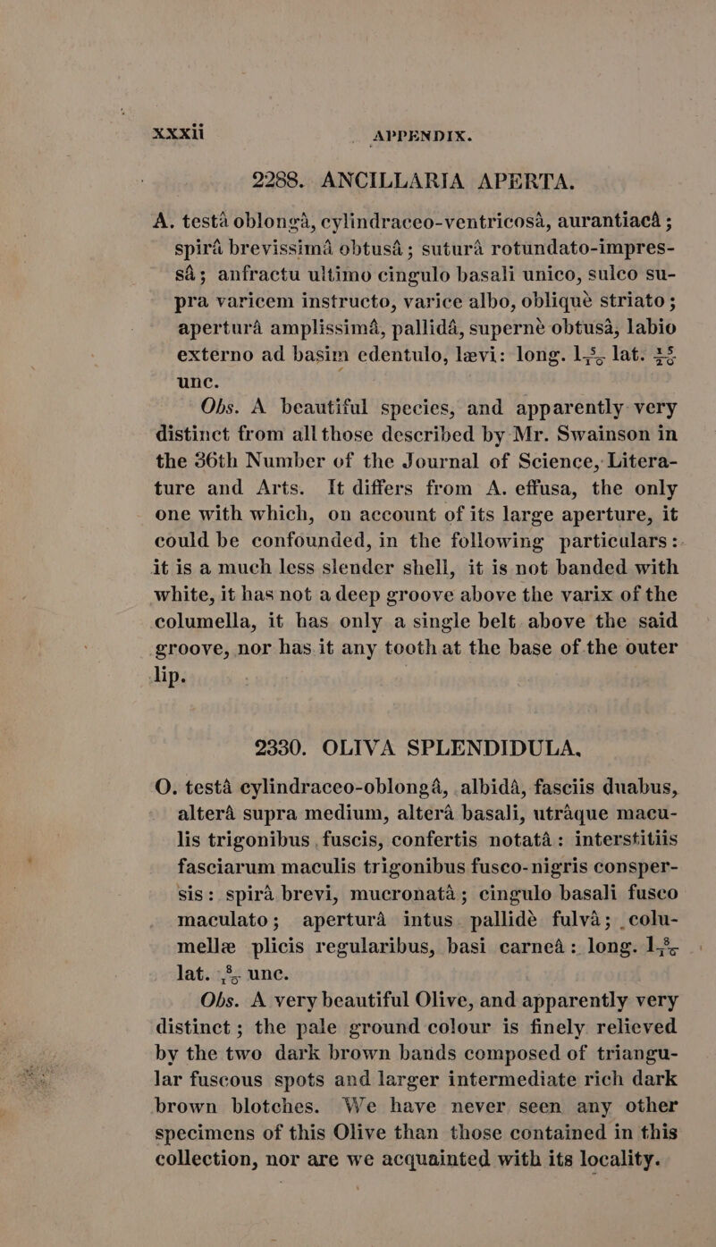 2288. ANCILLARIA APERTA. A. testa oblonga, cylindraceo-ventricosa, aurantiacá ; spirá brevissima obtusa ; suturá rotundato-impres- sé; anfractu ultimo cingulo basali unico, sulco su- pra varicem instructo, varice albo, oblique striato ; apertura amplissimá, pallida, superné obtusa, labio externo ad basim edentulo, levi: long. 145; lat. 22 unc. Obs. A beautiful species, and apparently very distinct from allthose described by Mr. Swainson in the 36th Number of the Journal of Science, Litera- ture and Arts. It differs from A. effusa, the only one with which, on account of its large aperture, it could be confounded, in the following particulars :. it is a much less slender shell, it is not banded with white, it has not a deep groove above the varix of the columella, it has only a single belt. above the said groove, nor has it any tooth at the base of the outer lip. 2330. OLIVA SPLENDIDULA, O. testa eylindraceo-oblongá, .albidá, fasciis duabus, altera supra medium, altera basali, utraque macu- lis trigonibus , fuscis, confertis notatà : interstitiis fasciarum maculis trigonibus fusco-nigris consper- sis: spirà brevi, mucronata; cingulo basali fusco maculato; apertura intus. pallidé fulva; _colu- melle plicis regularibus, basi carneáà: long. 1% lat. ,$, une. Obs. A very beautiful Olive, and apparently very distinct; the pale ground colour is finely relieved by the two dark brown bands composed of triangu- lar fuscous spots and larger intermediate rich dark brown blotches. We have never seen any other specimens of this Olive than those contained in this collection, nor are we acquainted with its locality.