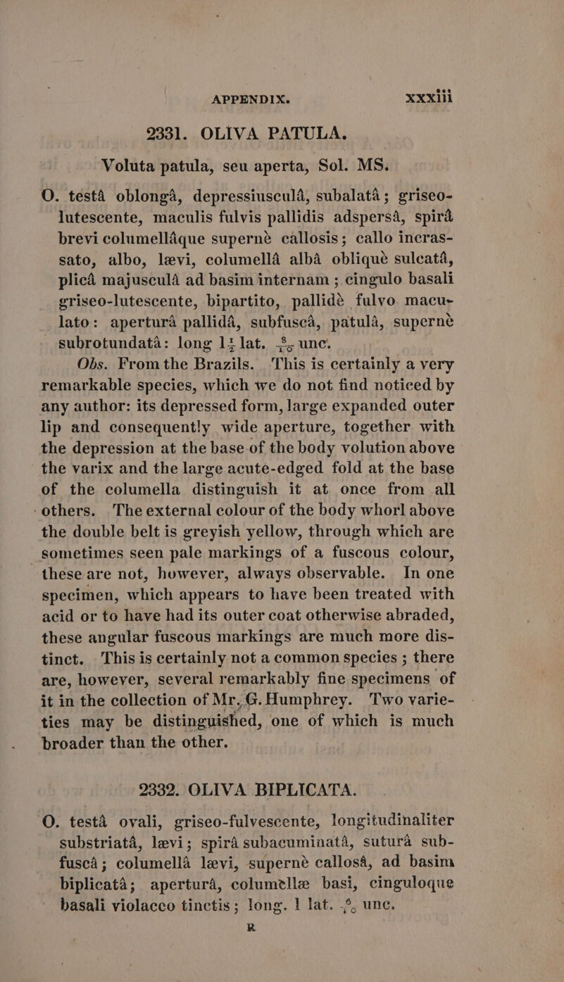 me [-— [m 2331. OLIVA PATULA. Voluta patula, seu aperta, Sol. MS. O. testà oblonga, depressiusculá, subalata; griseo- lutescente, maculis fulvis pallidis adspersa, spira brevi columelláque superné callosis; callo incras- sato, albo, levi, columellá albá obliqué suleatá, plicá majusculà ad basim internam ; cingulo basali griseo-lutescente, bipartito, pallidé fulvo. macu- lato: apertura pallidá, subfuscá, patulà, superne subrotundata: long lilat. $,unc. Obs. From the Brazils. lhis is certainly a very remarkable species, which we do not find noticed by any author: its depressed form, large expanded outer lip and consequently wide aperture, together with the depression at the base of the body volution above the varix and the large acute-edged fold at the base of the columella distinguish it at once from all others. The external colour of the body whorl above the double belt is greyish yellow, through which are sometimes seen pale markings of a fuscous colour, these are not, however, always observable. In one specimen, which appears to have been treated with acid or to have had its outer coat otherwise abraded, these angular fuscous markings are much more dis- tinct. This is certainly not a common species ; there are, however, several remarkably fine specimens of it in the collection of Mr. G. Humphrey. ‘Two varie- ties may be distinguished, one of which is much broader than the other. 2332. OLIVA BIPLICATA. O. testa ovali, griseo-fulvescente, longitudinaliter substriatá, levi; spirà subacuminatá, suturà sub- fusca; columella levi, superné callos&amp;, ad basim biplicata; apertura, columelle basi, cinguloque basali violaceo tinctis; long. ! lat. .5; une. R