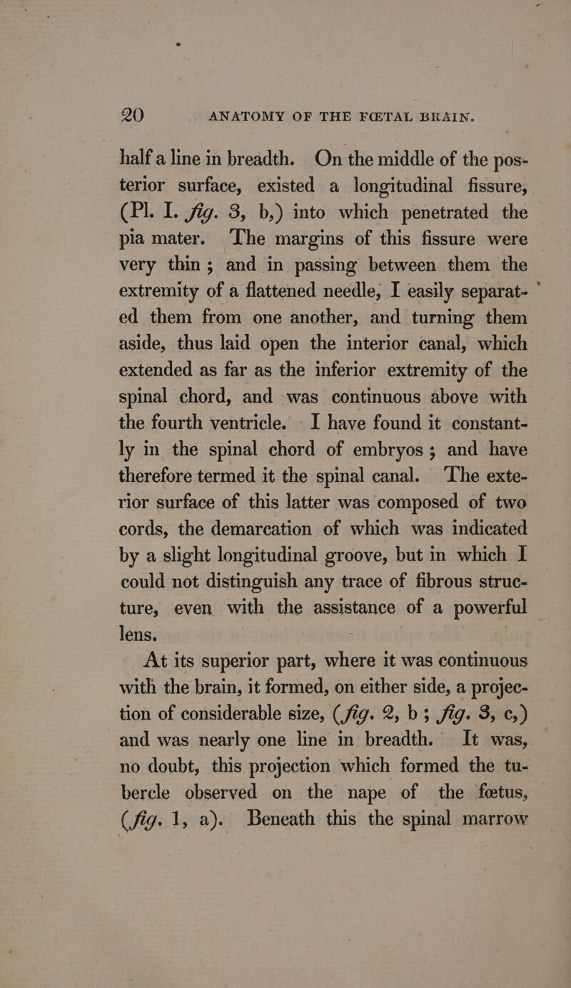 half a line in breadth. On the middle of the pos- terior surface, existed a longitudinal fissure, (Pl. I. jig. 3, b,) into which penetrated the pia mater. ‘The margins of this fissure were very thin; and in passing between them the extremity of a flattened needle, I easily separat- © ed them from one another, and turning them aside, thus laid open the interior canal, which extended as far as the inferior extremity of the spinal chord, and was continuous above with the fourth ventricle. - I have found it constant- ly in the spinal chord of embryos ; and have therefore termed it the spinal canal. The exte- rior surface of this latter was composed of two cords, the demarcation of which was indicated by a slight longitudinal groove, but in which I could not distinguish any trace of fibrous struc- ture, even with the assistance of a powerful — lens. | At its superior part, where it was continuous with the brain, it formed, on either side, a projec- tion of considerable size, (fig. 2, b ; jig. 8, ¢,) and was nearly one line in breadth. It was, no doubt, this projection which formed the tu- bercle observed on the nape of the fœtus, (fig. 1, a). Beneath this the spinal marrow