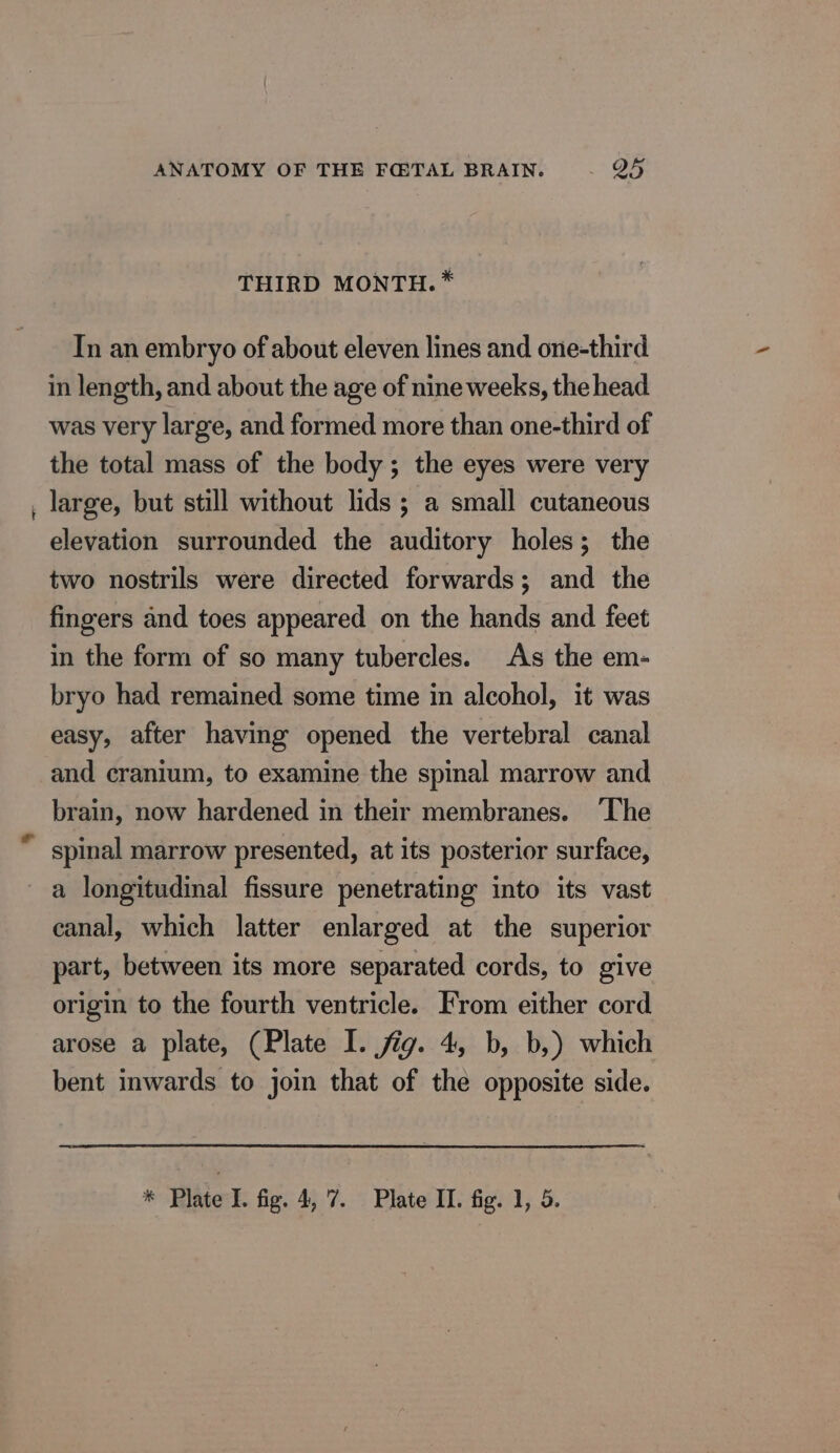 — THIRD MONTH. * In an embryo of about eleven lines and one-third in length, and about the age of nine weeks, the head was very large, and formed more than one-third of the total mass of the body ; the eyes were very large, but still without lids ; a small cutaneous elevation surrounded the auditory holes; the two nostrils were directed forwards; and the fingers and toes appeared on the hands and feet in the form of so many tubercles. As the em- bryo had remained some time in alcohol, it was easy, after having opened the vertebral canal and cranium, to examine the spinal marrow and brain, now hardened in their membranes. ‘The spinal marrow presented, at its posterior surface, a longitudinal fissure penetrating into its vast canal, which latter enlarged at the superior part, between its more separated cords, to give origin to the fourth ventricle. From either cord arose a plate, (Plate I. fig. 4, b, b,) which bent inwards to join that of the opposite side. * Plate I. fig. 4, 7. Plate II. fig. 1, 5.