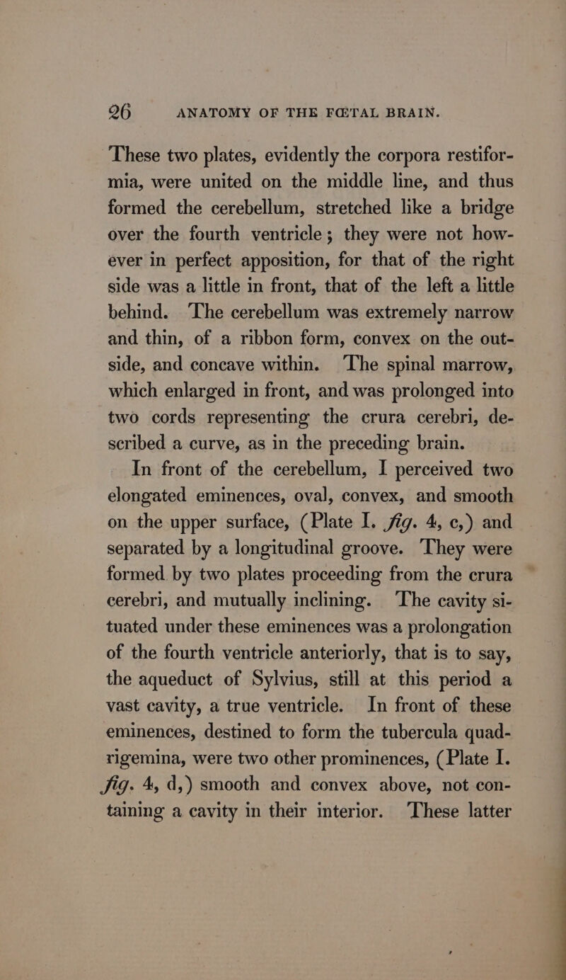 These two plates, evidently the corpora restifor- mia, were united on the middle line, and thus formed the cerebellum, stretched like a bridge over the fourth ventricle; they were not how- ever in perfect apposition, for that of the right side was a little in front, that of the left a little behind. The cerebellum was extremely narrow and thin, of a ribbon form, convex on the out- side, and concave within. The spinal marrow, which enlarged in front, and was prolonged into two cords representing the crura cerebri, de- scribed a curve, as in the preceding brain. In front of the cerebellum, I perceived two elongated eminences, oval, convex, and smooth on the upper surface, (Plate I. jig. 4, ¢,) and separated by a longitudinal groove. ‘They were formed by two plates proceeding from the crura cerebri, and mutually inclining. ‘The cavity si- tuated under these eminences was a prolongation of the fourth ventricle anteriorly, that is to say, the aqueduct of Sylvius, still at this period a vast cavity, a true ventricle. In front of these eminences, destined to form the tubercula quad- rigemina, were two other prominences, (Plate I. Jig. 4, d,) smooth and convex above, not con- taining a cavity in their interior. These latter
