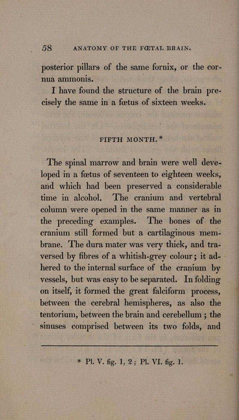 posterior pillars of the same fornix, or the cor- nua ammonis. I have found the structure of the brain pre- cisely the same in a fœtus of sixteen weeks. FIFTH MONTH. * The spinal marrow and brain were well deve- loped in a foetus of seventeen to eighteen weeks, and which had been preserved a considerable time in alcohol. ‘The cranium and _ vertebral column were opened in the same manner as in the preceding examples. ‘The bones of the cranium still formed but a cartilaginous mem- brane. The dura mater was very thick, and tra- versed by fibres of a whitish-grey colour ; it ad- hered to the internal surface of the cranium by vessels, but was easy to be separated. In folding on itself, it formed the great falciform process, between the cerebral hemispheres, as also the tentorium, between the brain and cerebellum ; the sinuses comprised between its two folds, and * Pl. V. fig, 1, 2; PL VI. fig. 1.
