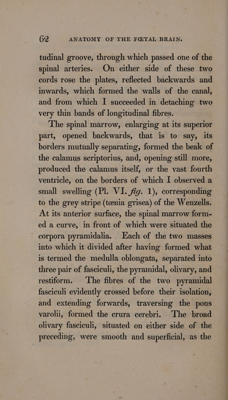 tudinal groove, through which passed one of the spinal arteries. On either side of these two cords rose the plates, reflected backwards and inwards, which formed the walls of the canal, and from which I succeeded in detaching two very thin bands of longitudinal fibres. The spinal marrow, enlarging at its superior part, opened backwards, that is to say, its borders mutually separating, formed the beak of the calamus scriptorius, and, opening still more, produced the calamus itself, or the vast fourth ventricle, on the borders of which I observed a small swelling (Pl. VI. fig. 1), corresponding to the grey stripe (tenia grisea) of the Wenzells. At its anterior surface, the spinal marrow form- ed a curve, in front of which were situated the corpora pyramidalia. Each of the two masses into which it divided after having formed what is termed the medulla oblongata, separated into three pair of fasciculi, the pyramidal, olivary, and restiform. ‘The fibres of the two pyramidal fasciculi evidently crossed before their isolation, and extending forwards, traversing the pons varolil, formed the crura cerebri. ‘The broad olivary fasciculi, situated on either side of the preceding, were smooth and superficial, as the