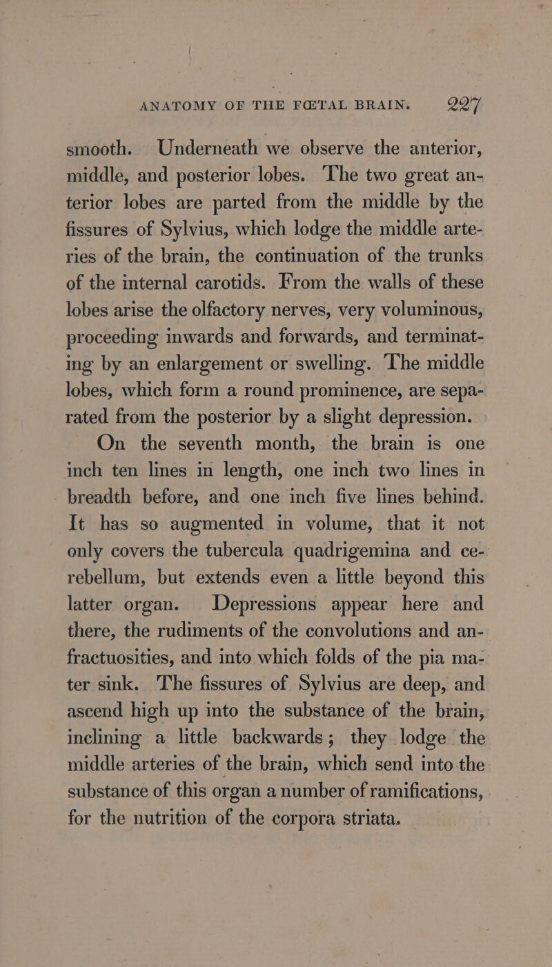 smooth. Underneath we observe the anterior, middle, and posterior lobes. The two great an- terior lobes are parted from the middle by the fissures of Sylvius, which lodge the middle arte- ries of the brain, the continuation of the trunks of the internal carotids. From the walls of these lobes arise the olfactory nerves, very voluminous, proceeding inwards and forwards, and terminat- ing by an enlargement or swelling. The middle lobes, which form a round prominence, are sepa- rated from the posterior by a slight depression. On the seventh month, the brain is one inch ten lines in length, one inch two lines in breadth before, and one inch five lines behind. It has so augmented in volume, that it not only covers the tubercula quadrigemina and ce- rebellum, but extends even a little beyond this latter organ. Depressions appear here and there, the rudiments of the convolutions and an- fractuosities, and into which folds of the pia ma- ter sink. The fissures of Sylvius are deep, and ascend high up into the substance of the brain, inclining a little backwards; they lodge the middle arteries of the brain, which send into the substance of this organ a number of ramifications, for the nutrition of the corpora striata.