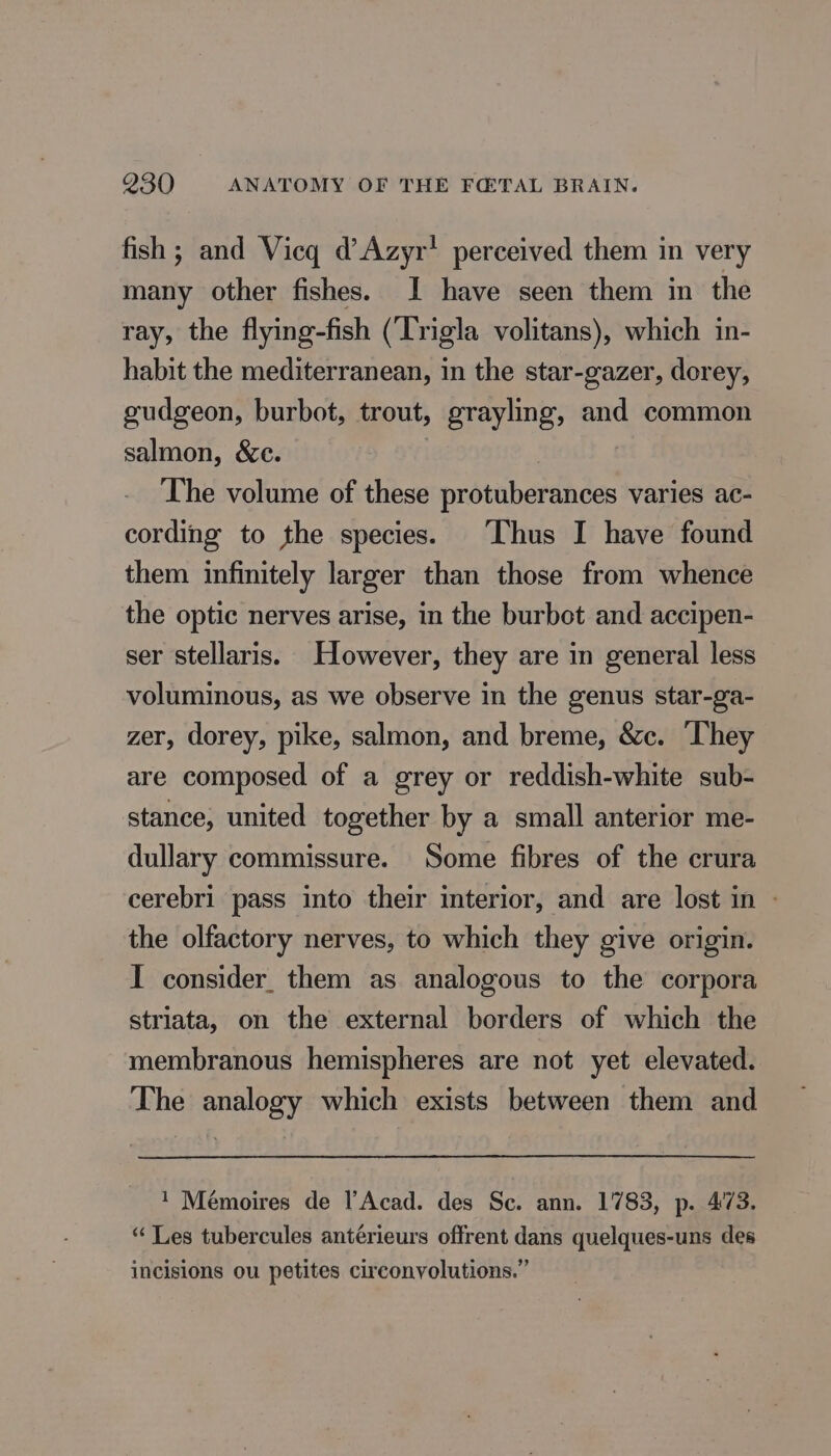 fish ; and Vicq d’Azyr’ perceived them in very many other fishes. I have seen them in the ray, the flying-fish (Trigla volitans), which in- habit the mediterranean, in the star-gazer, dorey, gudgeon, burbot, trout, grayling, and common salmon, &amp;e. The volume of these protuberances varies ac- cording to the species. ‘Thus I have found them infinitely larger than those from whence the optic nerves arise, in the burbot and accipen- ser stellaris. However, they are in general less voluminous, as we observe in the genus star-ga- zer, dorey, pike, salmon, and breme, &amp;c. They are composed of a grey or reddish-white sub- stance, united together by a small anterior me- dullary commissure. Some fibres of the crura cerebri pass into their interior, and are lost in : the olfactory nerves, to which they give origin. I consider them as analogous to the corpora striata, on the external borders of which the membranous hemispheres are not yet elevated. The analogy which exists between them and 1 Mémoires de l’Acad. des Sc. ann. 1783, p. 473. “ Les tubercules antérieurs offrent dans quelques-uns des incisions ou petites circonvolutions.”