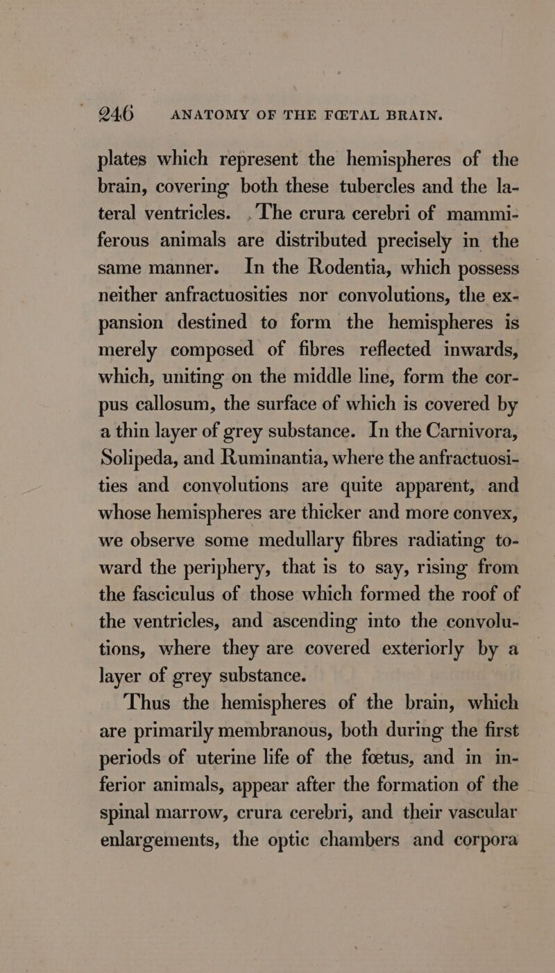 plates which represent the hemispheres of the brain, covering both these tubercles and the la- teral ventricles. . The crura cerebri of mammi- ferous animals are distributed precisely in the same manner. In the Rodentia, which possess neither anfractuosities nor convolutions, the ex- pansion destined to form the hemispheres is merely composed of fibres reflected inwards, which, uniting on the middle line, form the cor- pus callosum, the surface of which is covered by a thin layer of grey substance. In the Carnivora, Solipeda, and Ruminantia, where the anfractuosi- ties and convolutions are quite apparent, and whose hemispheres are thicker and more convex, we observe some medullary fibres radiating to- ward the periphery, that is to say, rising from the fasciculus of those which formed the roof of the ventricles, and ascending into the convolu- tions, where they are covered exteriorly by a layer of grey substance. Thus the hemispheres of the brain, which are primarily membranous, both during the first periods of uterine life of the foetus, and in in- ferior animals, appear after the formation of the spinal marrow, crura cerebri, and their vascular enlargements, the optic chambers and corpora