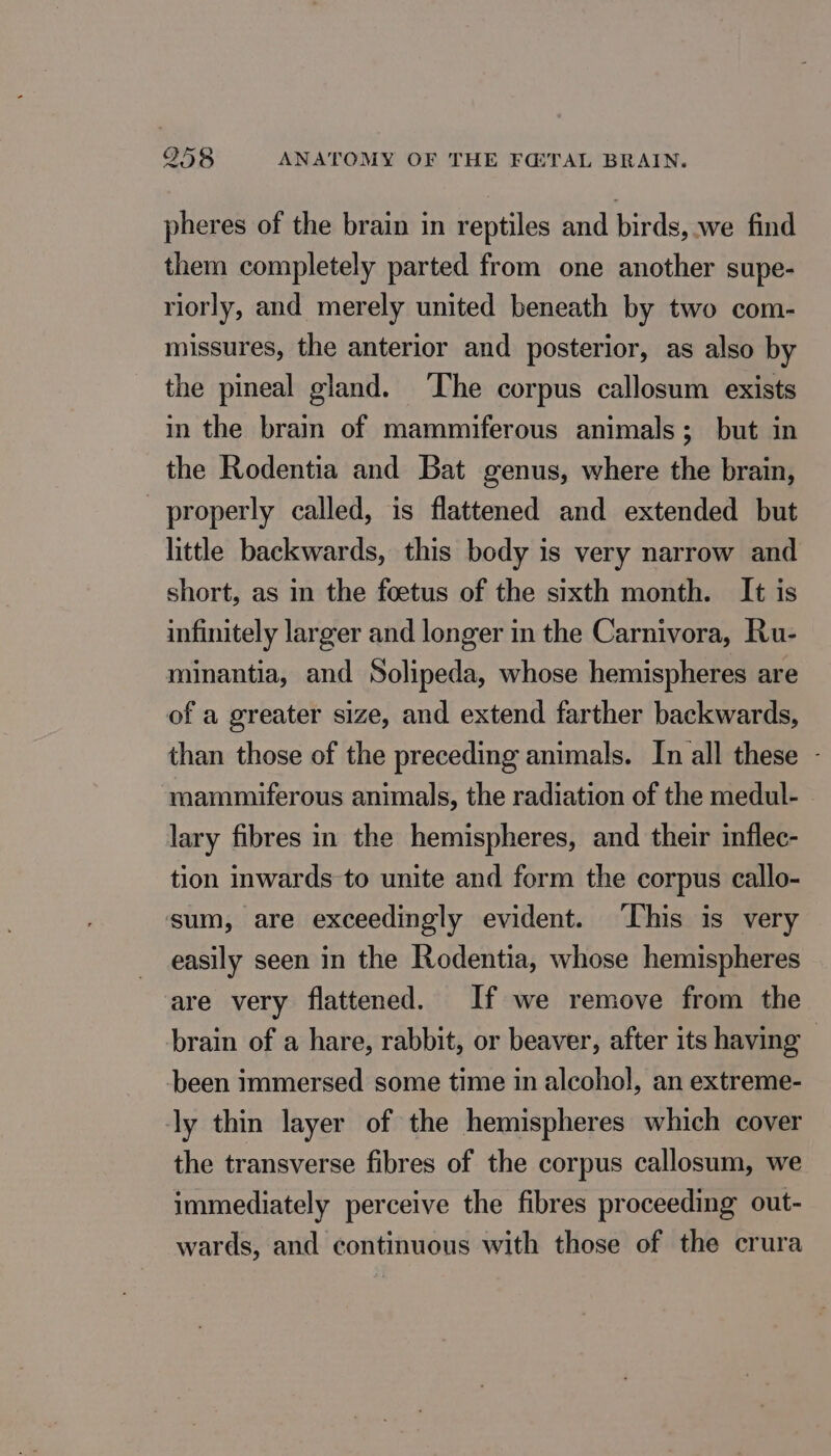 pheres of the brain in reptiles and birds, we find them completely parted from one another supe- riorly, and merely united beneath by two com- missures, the anterior and posterior, as also by the pineal gland. The corpus callosum exists in the brain of mammiferous animals; but in the Rodentia and Bat genus, where the brain, properly called, is flattened and extended but little backwards, this body is very narrow and short, as in the foetus of the sixth month. It is infinitely larger and longer in the Carnivora, Ru- minantia, and Solipeda, whose hemispheres are of a greater size, and extend farther backwards, than those of the preceding animals. In all these - mammiferous animals, the radiation of the medul- lary fibres in the hemispheres, and their inflec- tion inwards to unite and form the corpus callo- sum, are exceedingly evident. ‘This is very easily seen in the Rodentia, whose hemispheres are very flattened. If we remove from the brain of a hare, rabbit, or beaver, after its having -been immersed some time in alcohol, an extreme- ly thin layer of the hemispheres which cover the transverse fibres of the corpus callosum, we immediately perceive the fibres proceeding out- wards, and continuous with those of the crura