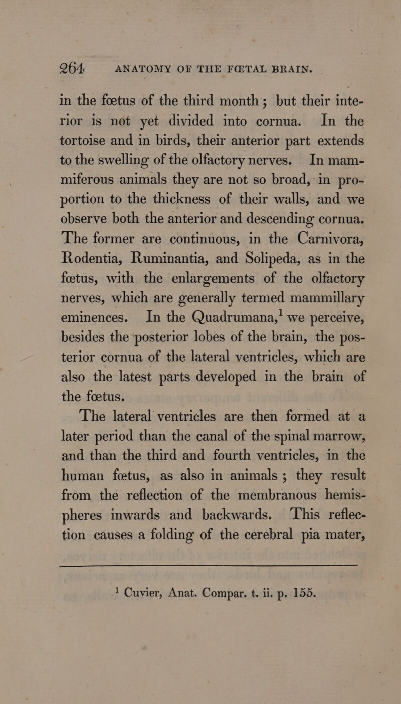 in the foetus of the third month; but their inte- rior is not yet divided into cornua. In the tortoise and in birds, their anterior part extends to the swelling of the olfactory nerves. In mam- miferous animals they are not so broad, in pro- portion to the thickness of their walls, and we observe both the anterior and descending cornua. The former are continuous, in the Carnivora, Rodentia, Ruminantia, and Solipeda, as in the foetus, with the enlargements of the olfactory nerves, which are generally termed mammillary eminences. In the Quadrumana,’ we perceive, besides the ‘posterior lobes of the brain, the pos- terior cornua of the lateral ventricles, which are also the latest parts developed in the brain of the foetus. The lateral ventricles are then formed at a later period than the canal of the spinal marrow, and than the third and fourth ventricles, in the human fetus, as also in animals; they result from the reflection of the membranous hemis- pheres inwards and backwards. ‘This reflec- tion causes a folding of the cerebral pia mater, * Cuvier, Anat. Compar. t. ii. p. 155.