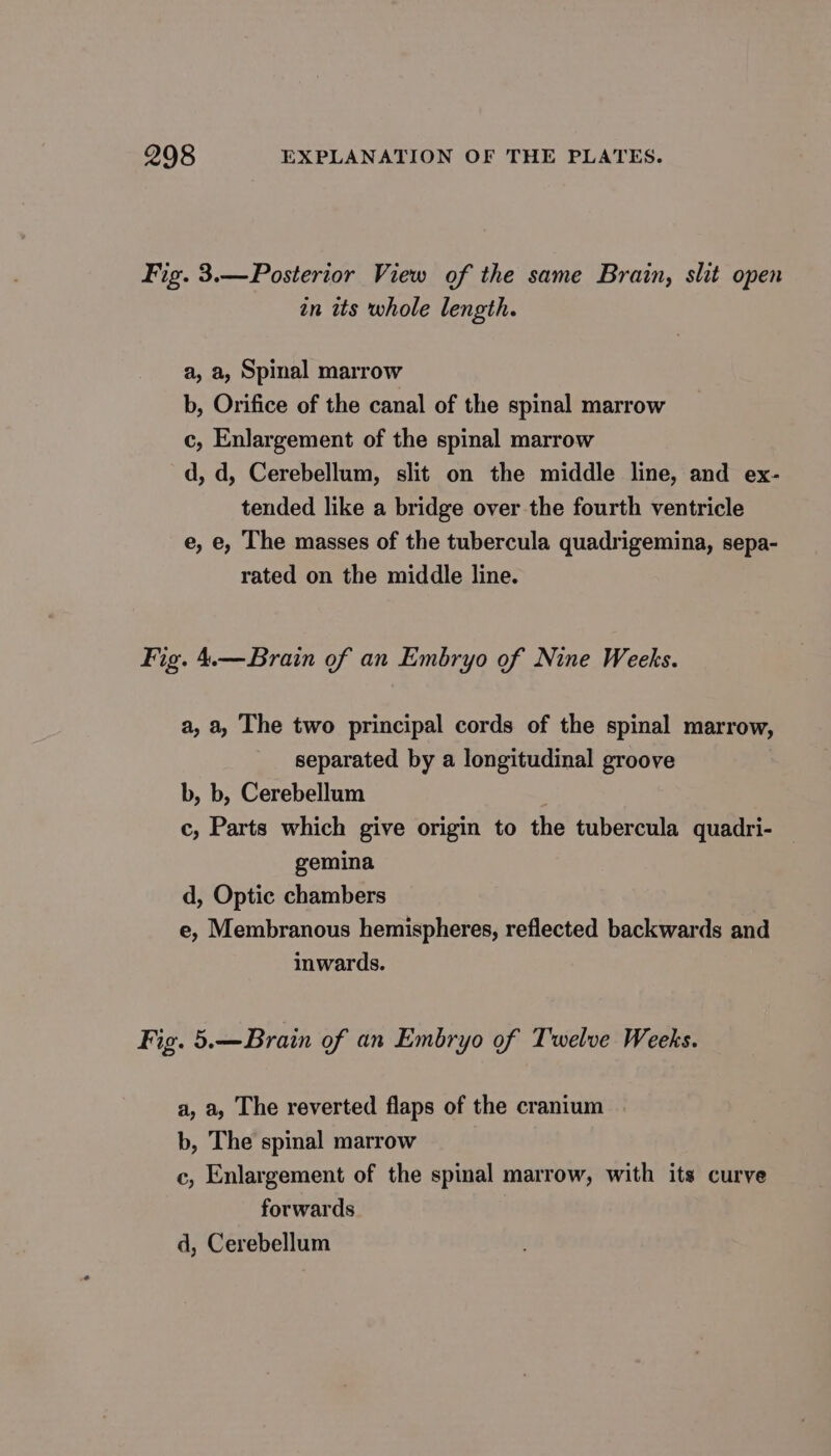 Fig. 3.—Posterior View of the same Brain, slit open in its whole length. a, a, Spinal marrow b, Orifice of the canal of the spinal marrow c, Enlargement of the spinal marrow d, d, Cerebellum, slit on the middle line, and ex- tended like a bridge over the fourth ventricle e, e, The masses of the tubercula quadrigemina, sepa- rated on the middle line. Fig. 4.—Brain of an Embryo of Nine Weeks. a, a, The two principal cords of the spinal marrow, separated by a longitudinal groove b, b, Cerebellum . c, Parts which give origin to the tubercula quadri- gemina d, Optic chambers e, Membranous hemispheres, reflected backwards and inwards. Fig. 5.—Brain of an Embryo of Twelve Weeks. a, a, The reverted flaps of the cranium b, The spinal marrow c, Enlargement of the spinal marrow, with its curve forwards d, Cerebellum
