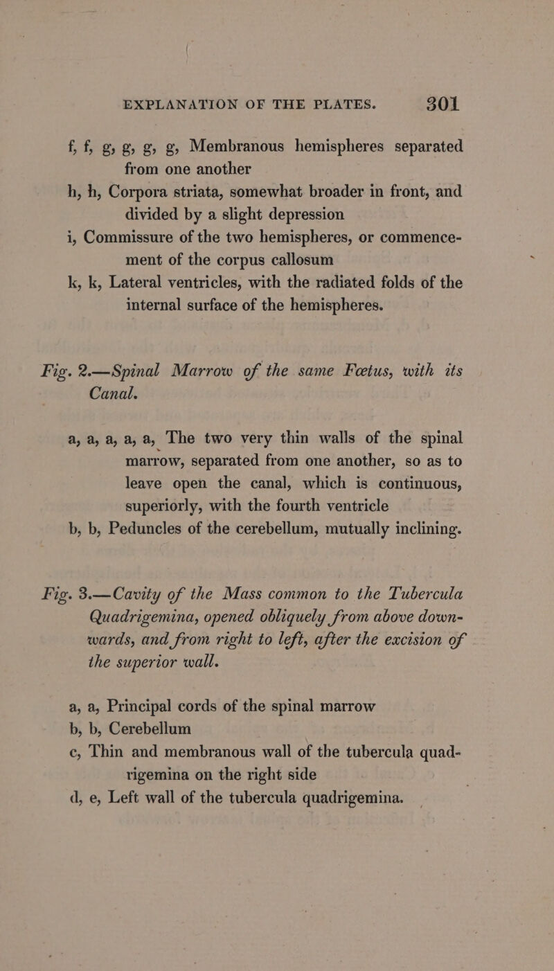 f, f, g, g, g, g, Membranous hemispheres separated from one another h, h, Corpora striata, somewhat broader in front, and divided by a slight depression i, Commissure of the two hemispheres, or commence- ment of the corpus callosum k, k, Lateral ventricles, with the radiated folds of the internal surface of the hemispheres. Fig. 2.—Spinal Marrow of the same Feetus, with its Canal. a, a, a, a, a, The two very thin walls of the spinal marrow, separated from one another, so as to leave open the canal, which is continuous, superiorly, with the fourth ventricle b, b, Peduncles of the cerebellum, mutually inclining. Fig. 3.—Cavity of the Mass common to the Tubercula Quadrigemina, opened obliquely from above down- wards, and from right to left, after the excision of the superior wall. a, a, Principal cords of the spinal marrow b, b, Cerebellum €, Thin and membranous wall of the tubercula quad- rigemina on the right side d, e, Left wall of the tubercula quadrigemina.