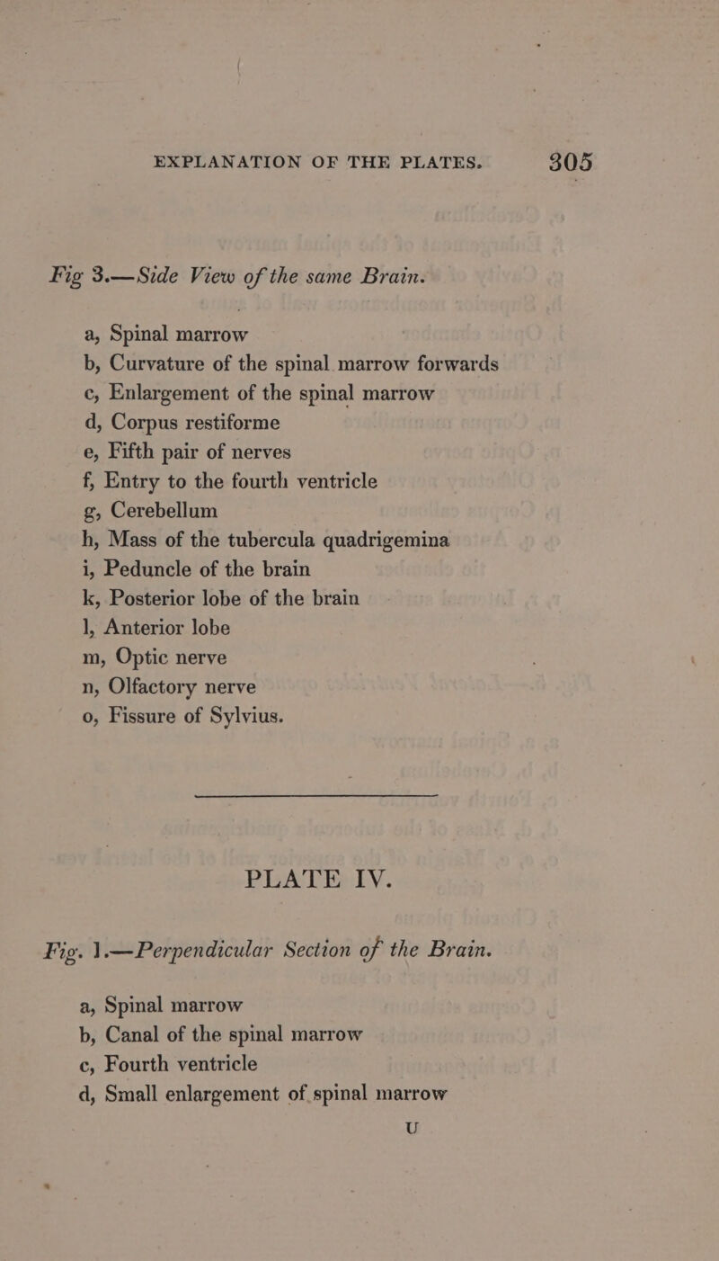 a, Spinal marrow c, Enlargement of the spinal marrow d, Corpus restiforme e, Fifth pair of nerves f, Entry to the fourth ventricle g, Cerebellum h, Mass of the tubercula quadrigemina i, Peduncle of the brain k, Posterior lobe of the brain m, Optic nerve n, Olfactory nerve o, Fissure of Sylvius. PEATE EV. a, Spinal marrow b, Canal of the spinal marrow c, Fourth ventricle d, Small enlargement of spinal marrow U