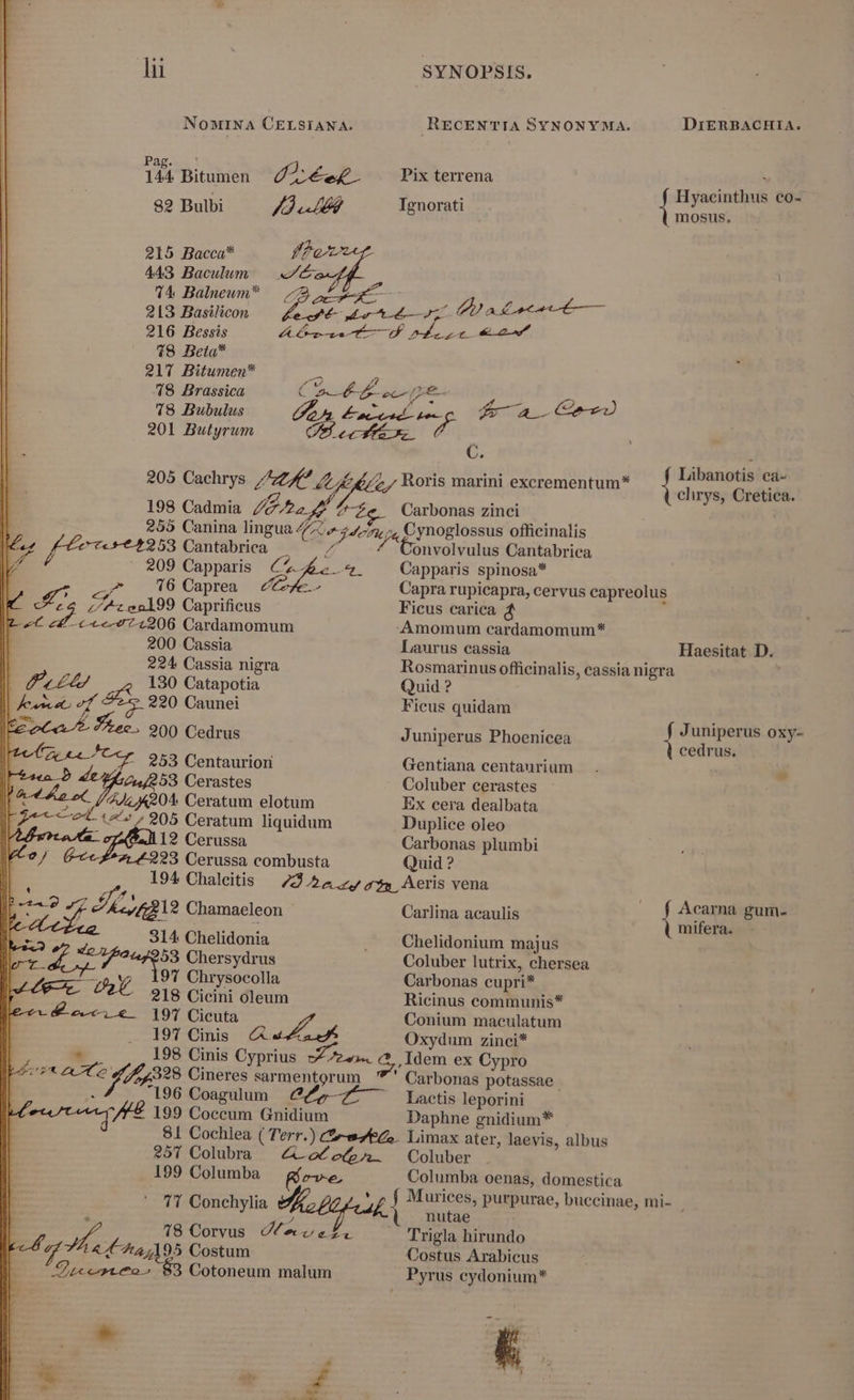 lu NoMINA CELSIANA. SYNOPSIS. RECENTIA SYNONYMA. DiERBACHIA. Pág.» ' : , 144 Bitumen Z2:€e£. Pixterrena (-Hyaci deos ^ S acinthus eo- 82 Bulbi p. Ignorati 1 a 215 Bacca* ffe 443 Baculum . «4: , 3 74 Balneum* — 2 E LE 4 jf / 213 Basilicon PAP E V adt e — 216 Bessis VP rr M Pd 18 Beta* 217 Bitumen* má 78 Brassica A. : MAS ec E 78 Bubulus 201 Butyrum I 205 Cachrys LIAC UE « JE 198 Cadmia 6,55. Pt bc f a C9) Libanotis ea- Roris marini excrementum* : chrys, Cretica. Carbonas zinci Cynoglossus officinalis z fe cesth253 Cantabrica . onvolvulus Cantabrica |^ ^ 209 Capparis C Capparis spinosa* Ii -^ 16 Caprea eye. Capra rupicapra, cervus capreolus ra 4 Ps c&amp;nl99 Caprificus Ficus carica d Ir ^C b t-——774206 Cardamomum -Amomum cardamomum* | 200 Cassia Laurus cassia Haesitat D. | 224 Cassia nigra Rosmarinus officinalis, cassia nigra 22225 130 Catapotia Quid ? | fett of 203 220 Caunei Ficus quidam E d 200 Cedrus Juniperus Phoenicea xni ros | CELA 4- 9523 Centaurior Gentiana centaurium » | P 53 Cerastes Coluber cerastes ato ot Quom Ceratum elotum Ex cera dealbata TO t^» 205 Ceratum liquidum Duplice oleo |rern 12 Cerussa Carbonas plumbi reo 7 fees. 714^223 Cerussa combusta Quid ? M 194 Chaleitis — 72.54 2, 434. Aeris vena I n) f oggi Chamaeleon / E 314 Chelidonia Pd DRM $53 Chersydrus Tor Chrysocolla IE 218 Cicini oleum Ear 197 Cicuta TET d 197 Cinis Jj WT i ! Em are Vt Cineres sarmentorum € 199 Coccum Gnidium 257 Colubra 199 Columba TT Conchylia e l 18 Corvus UPRIL 8 77 7. 7] 95 Costum S pecteo ^ Cotoneum malum CT-e6, ^ PM € Acarna gum. mifera. Carlina acaulis Chelidonium majus Coluber lutrix, chersea Carbonas cupri* Ricinus communis* Conium maculatum Oxydum zinci* Idem ex Cypro Carbonas potassae Lactis leporini Daphne gnidium* 2. Columba oenas, domestica Murices, purpurae, buccinae, mi- nutae Trigla hirundo Costus Arabicus Pyrus cydonium*