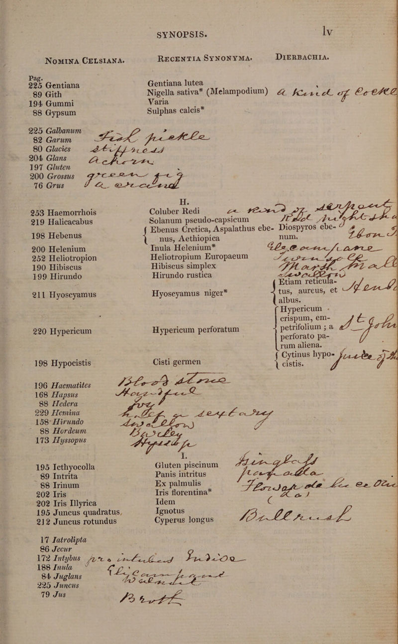 Pag. 225 Gentiana 89 Gith 194 Gummi 88 Gypsum 225 Galbanum 82 Garum 80 Glacies 204. Glans 197 Gluten 200 Grossus 16 Grus 259 Haemorrhois 219 Halicacabus 198 Hebenus 200 Helenium 252 Heliotropion 190 Hibiscus 199 Hirundo 211 Hyoscyamus 290 Hypericum 198 Hypocistis 196 Haematites 168 Hapsus 88 Hedera 299 Hemina 158: Hirundo |. 88 Hordeum 173 Hyssopus 195 Icthyocolla 89 Intrita $8 Irinum 202 Iris 202 Iris Illyrica 195 Juncus quadratus, 212 Juncus rotundus 17 Iatrolipta 86 Jecur 172 Intybus 188 Inula 84 J'uglans 225 Juncus 19 Jus SYNOPSIS. RECENTIA SYNONYMA: Gentiana lutea Nigella sativa* (Melampodium) Varia Sulphas calcis* Pj Coluber Redi Solanum pseudo-capsicum nus, Aethiopica num, Inula Helenium* Go o» a mou Heliotropium Europaeum 2 aykges [3 Hibiscus simplex Hirundo rustica Hypericum perforatum Cisti germen i. / ^ Gluten piscinum Satis i Panis intritus tc Ex palmulis , Iris florentina* Eno Idem ( Ignotus Cyperus longus lv DiERBACHIA. &amp; ficuc et. 7 € € A À 7 Hypericum - crispum, em- petrifolium ; a perforato pa- vi f rum aliena. ; Cytinus ib UNE cistis.